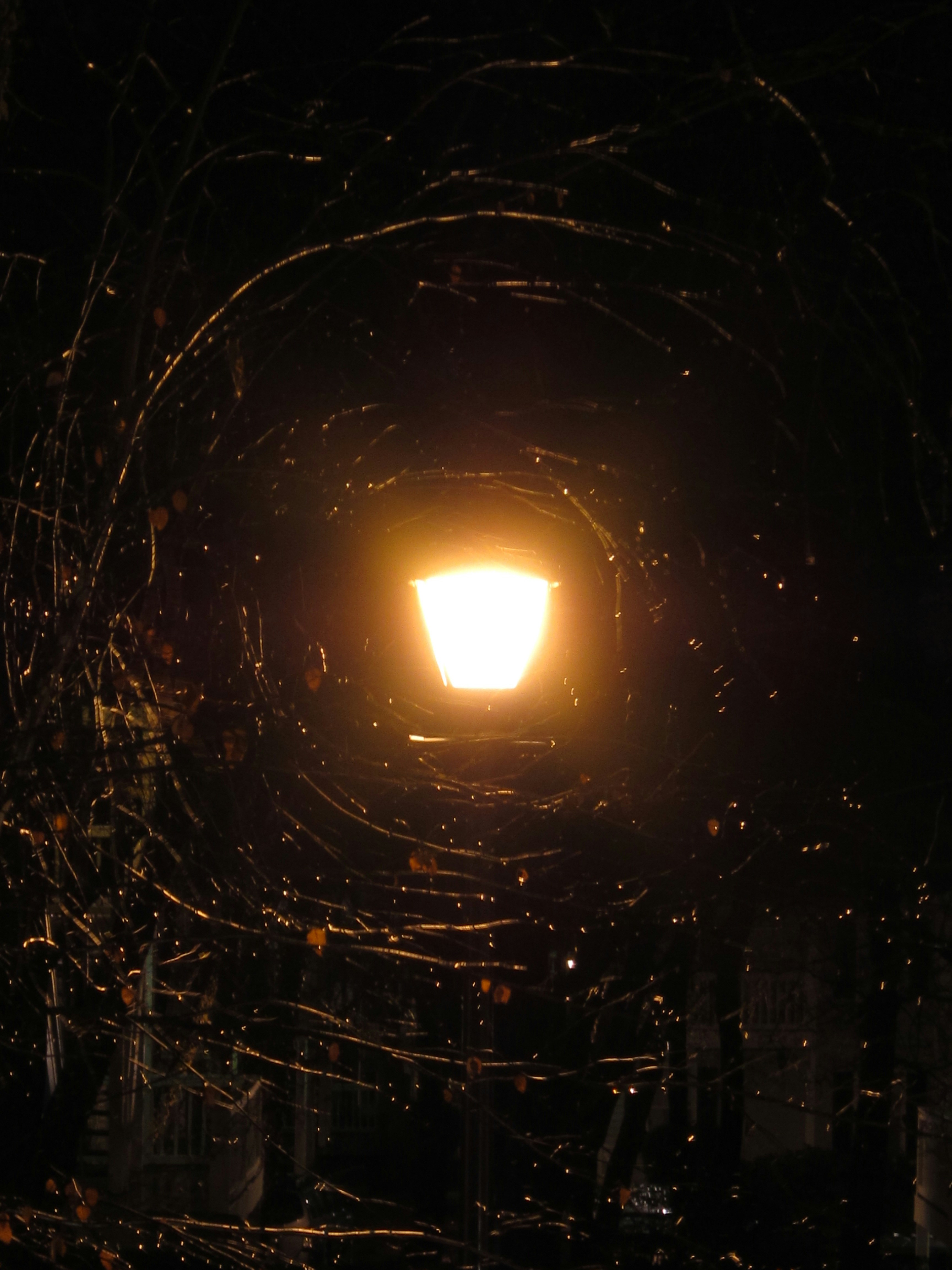 Free Unsplash photo from Arman Safaeian