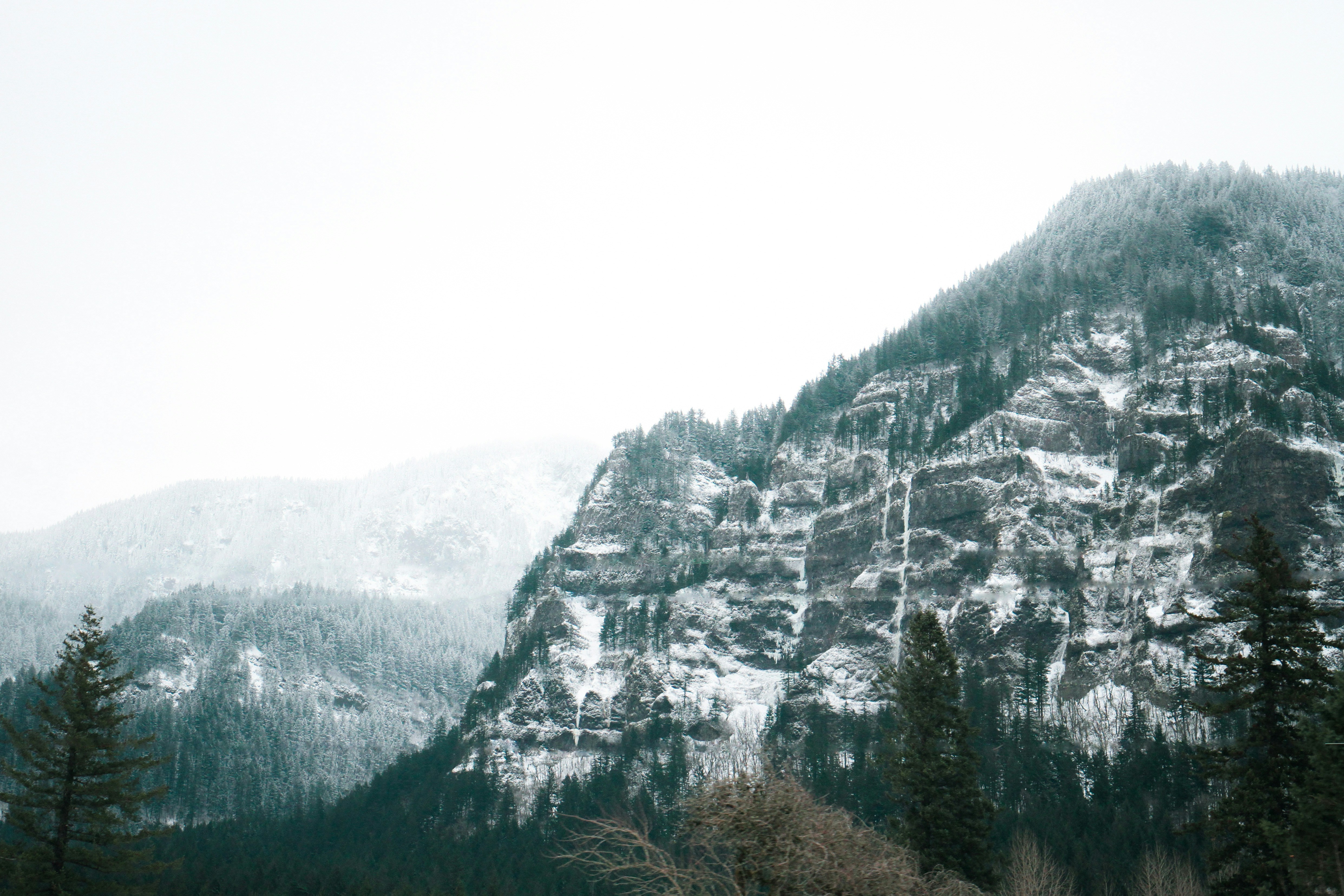 Free Unsplash photo from Ross  Kohl