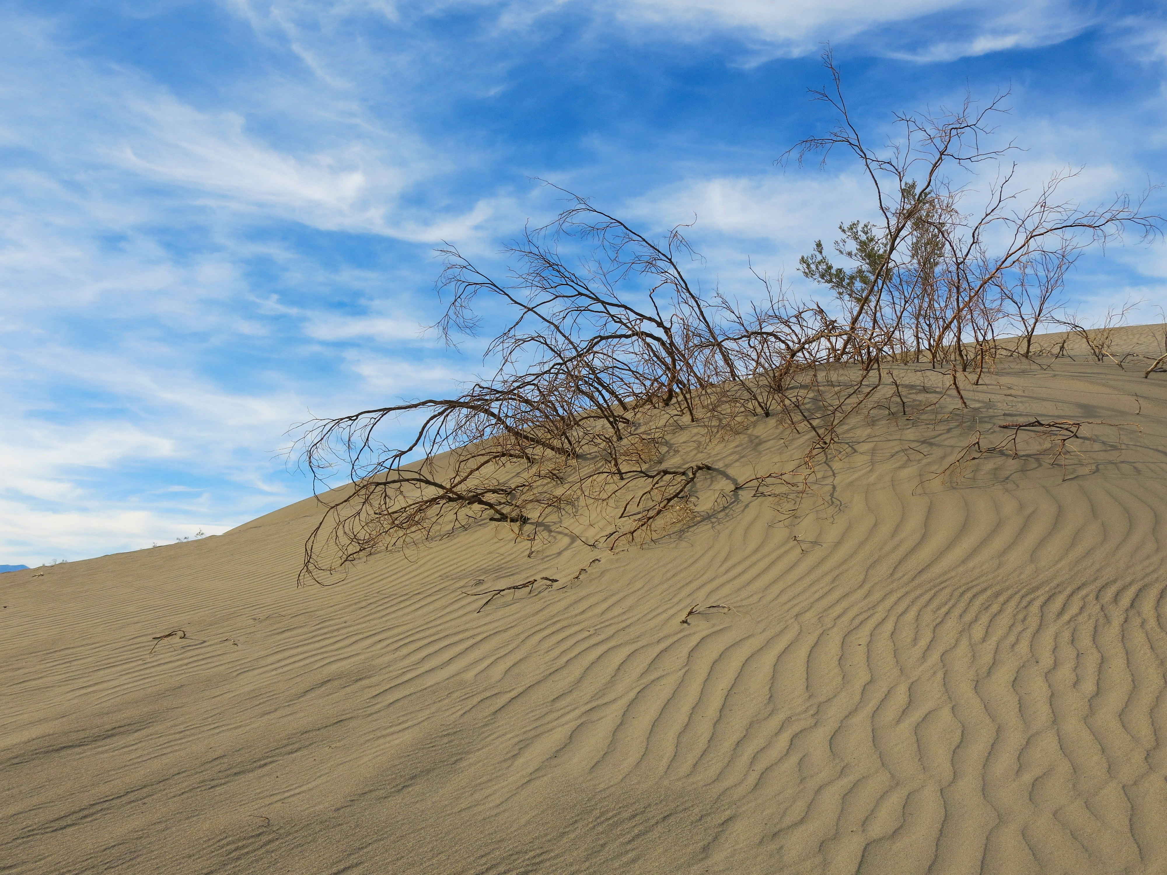 Free Unsplash photo from Elena Cordery