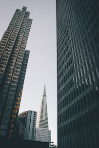 A cityscape featuring high-rise buildings with the prominent Transamerica Pyramid centered between two other skyscrapers. The architecture demonstrates a mix of modern and classic design elements. The lighting suggests either early morning or late afternoon, casting a subtle glow on the buildings.