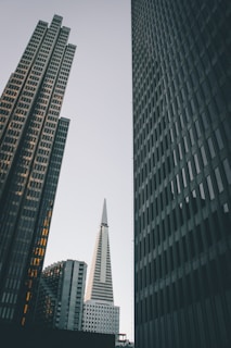 A cityscape featuring high-rise buildings with the prominent Transamerica Pyramid centered between two other skyscrapers. The architecture demonstrates a mix of modern and classic design elements. The lighting suggests either early morning or late afternoon, casting a subtle glow on the buildings.