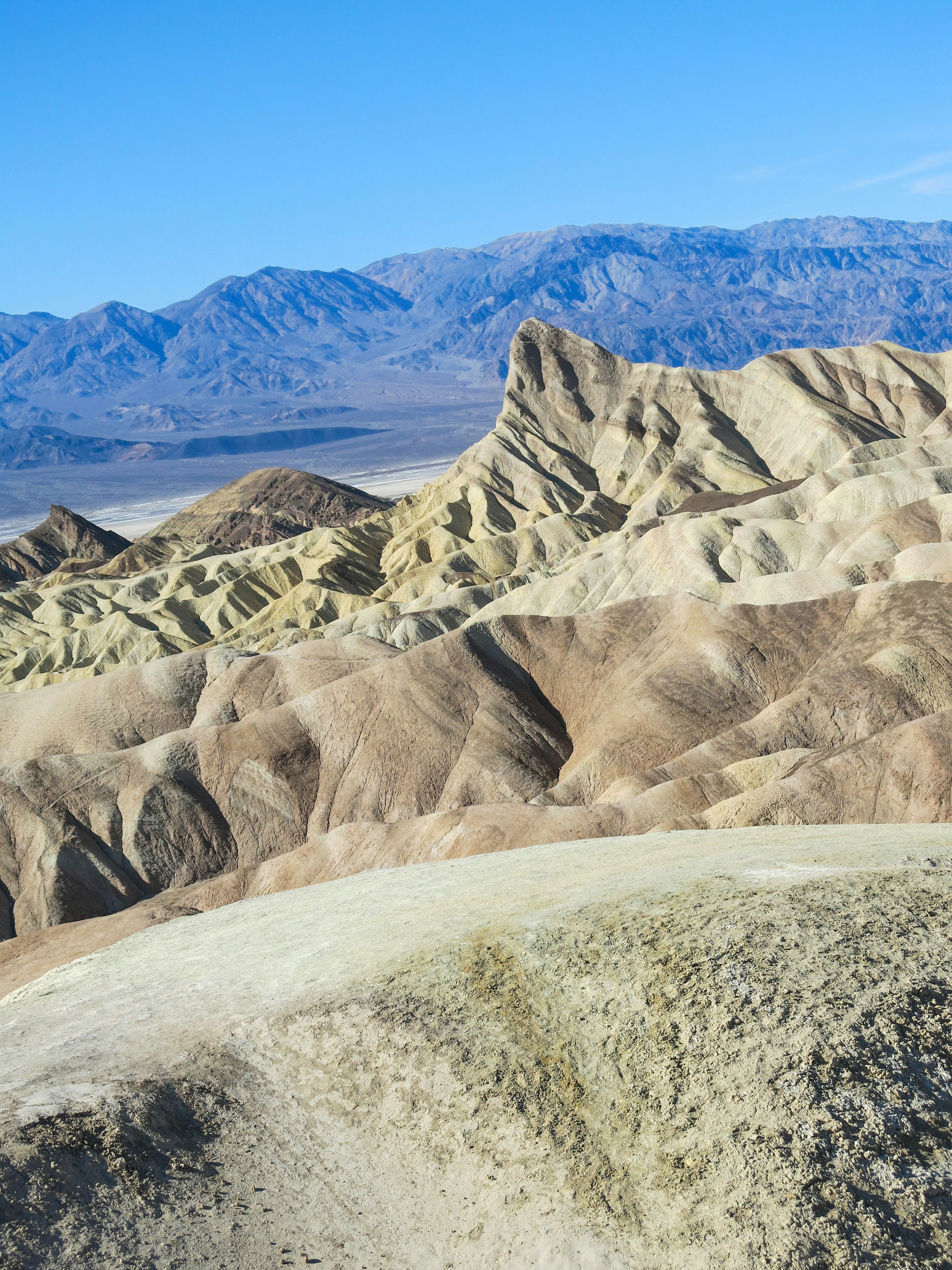 Free Unsplash photo from Elena Cordery