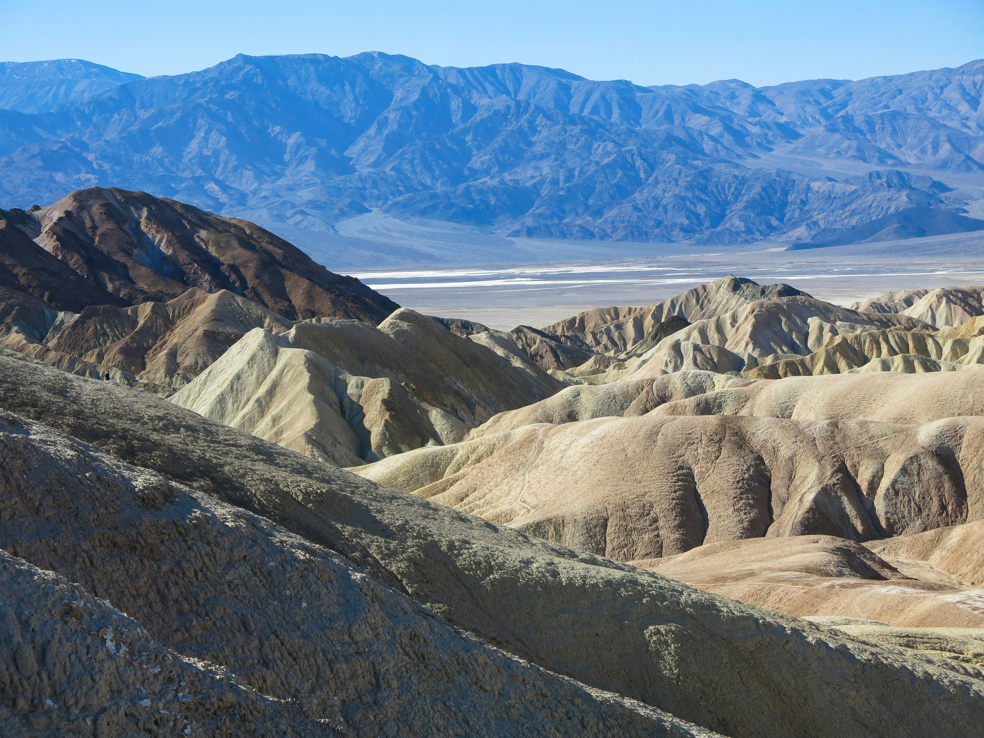 Free Unsplash photo from Elena Cordery