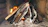 Close-up of a clean, well-maintained fireplace with glowing embers inside.