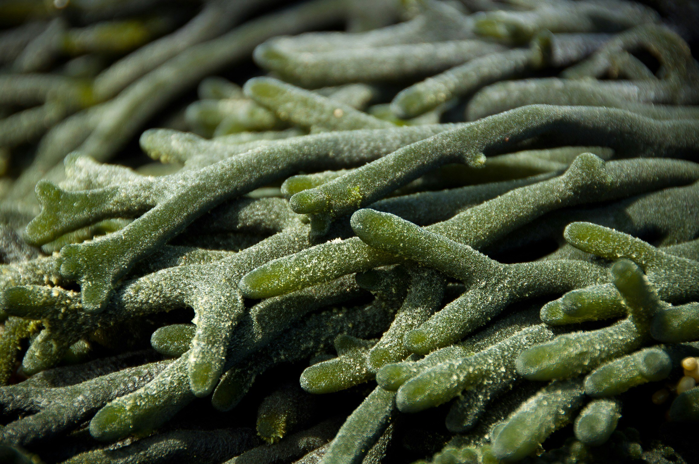 Free Unsplash photo from Tyres & Soles