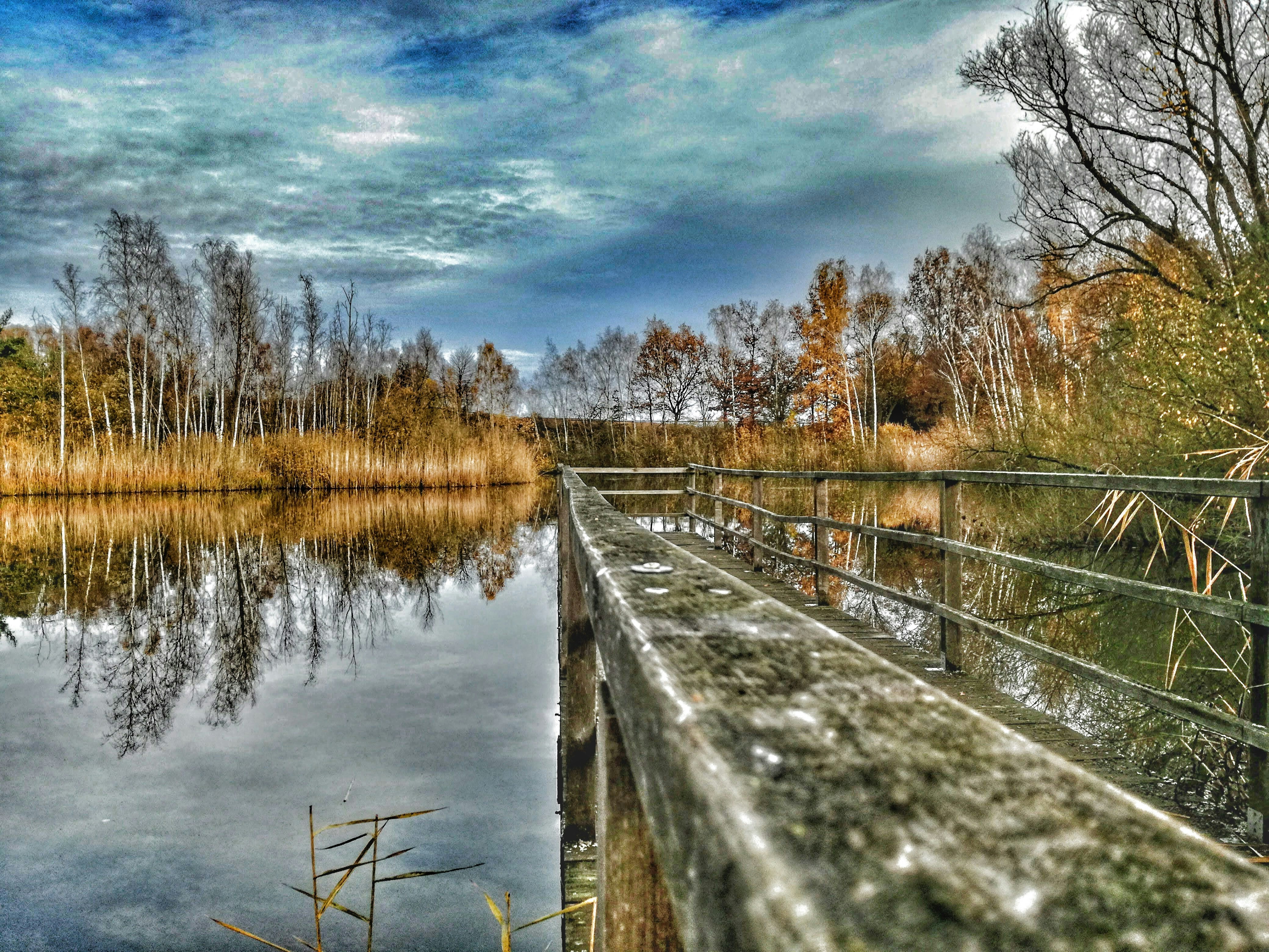 Free Unsplash photo from Sebastian Hammes