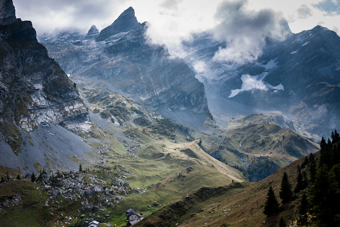 Alpiner Bergwald mit Nebel