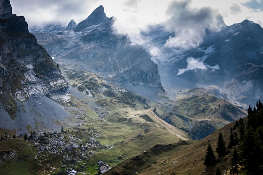 trees covered mountain in L'Argentine Switzerland