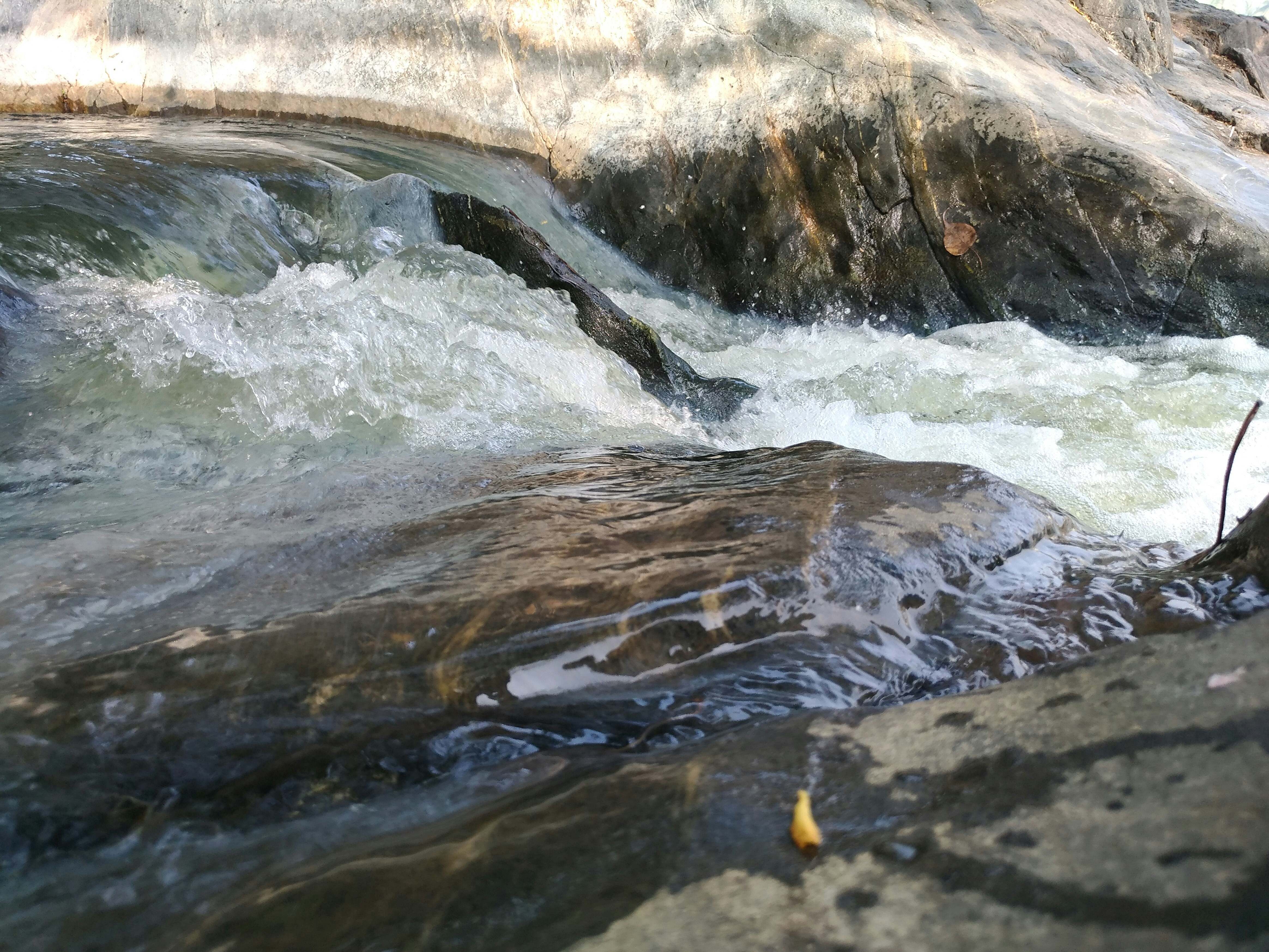 Free Unsplash photo from rajat patel