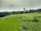 A lush green agricultural field stretches out under an overcast sky, with dense vegetation and a water tower in the background surrounded by trees.