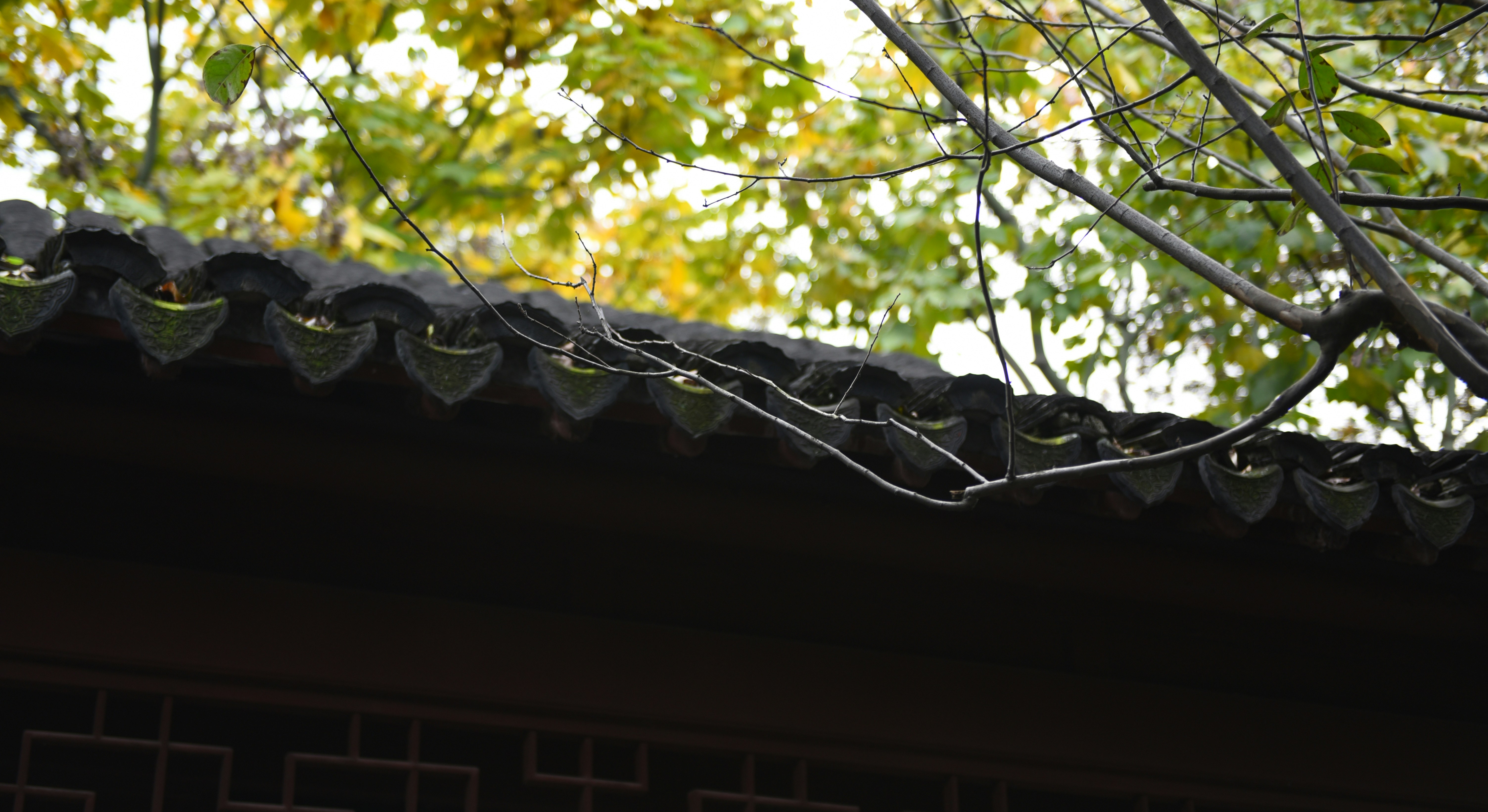 Free Unsplash photo from Cheng Wang