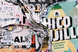 closeup photo of torn papers