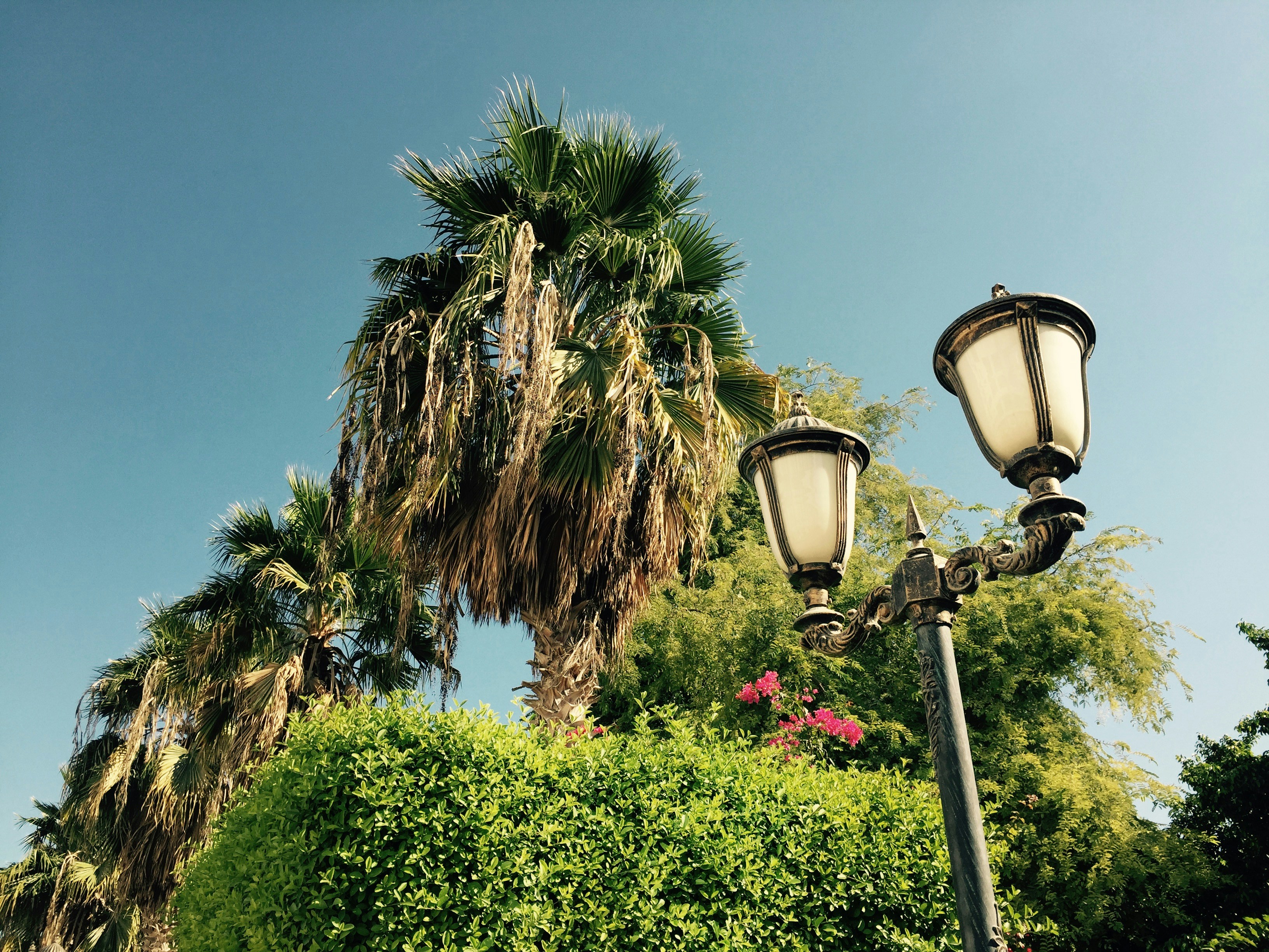 Free Unsplash photo from Niloofar khojaste far