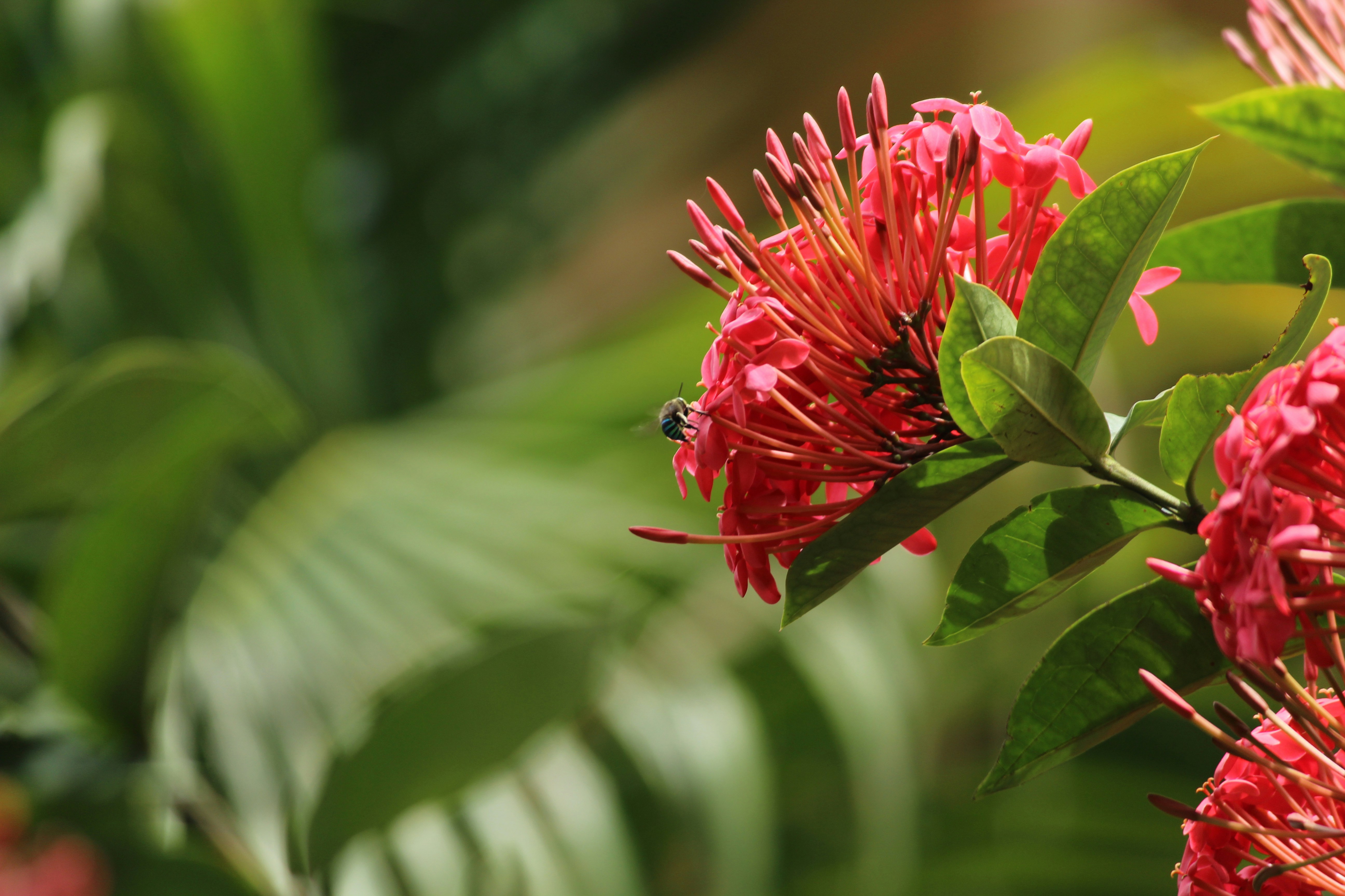 Free Unsplash photo from Nataraj Rao