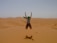 A joyful traveler standing atop a golden sand dune at sunset during a desert safari.