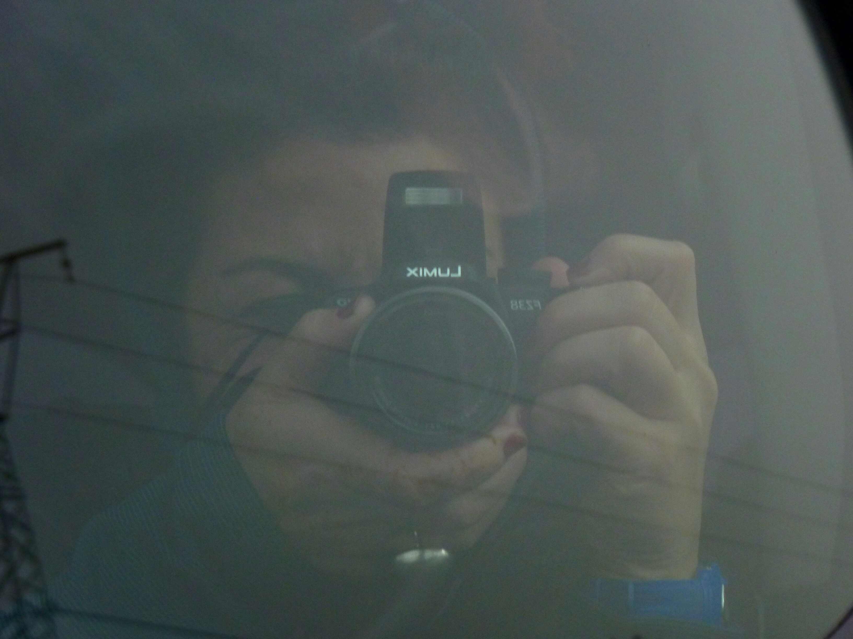 Free Unsplash photo from Solange Moreno