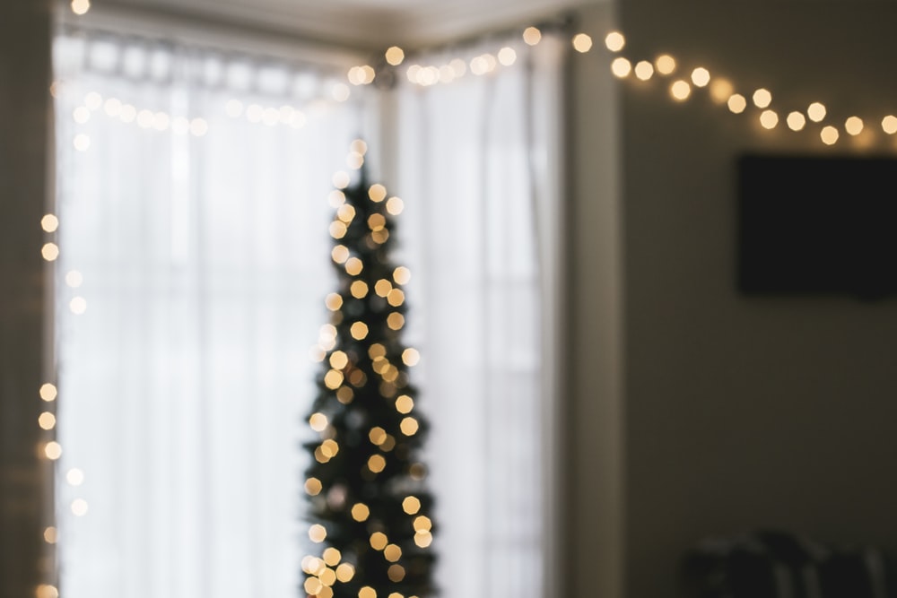 green Christmas tree with string lights turned on