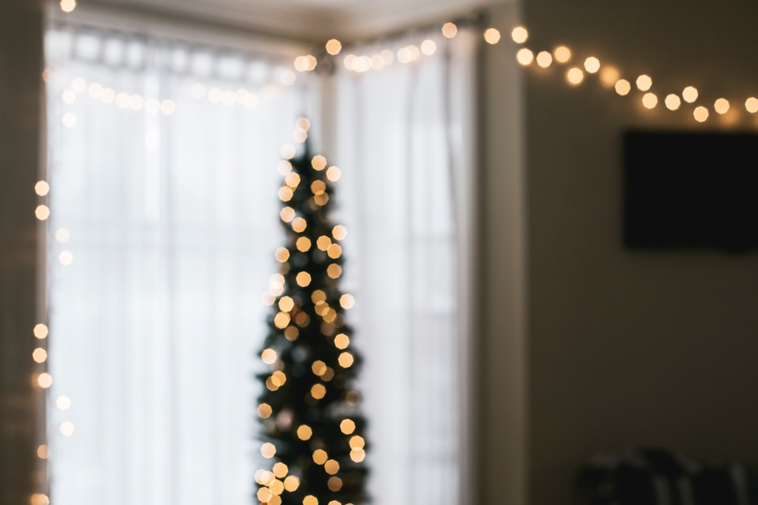 green Christmas tree with string lights turned on