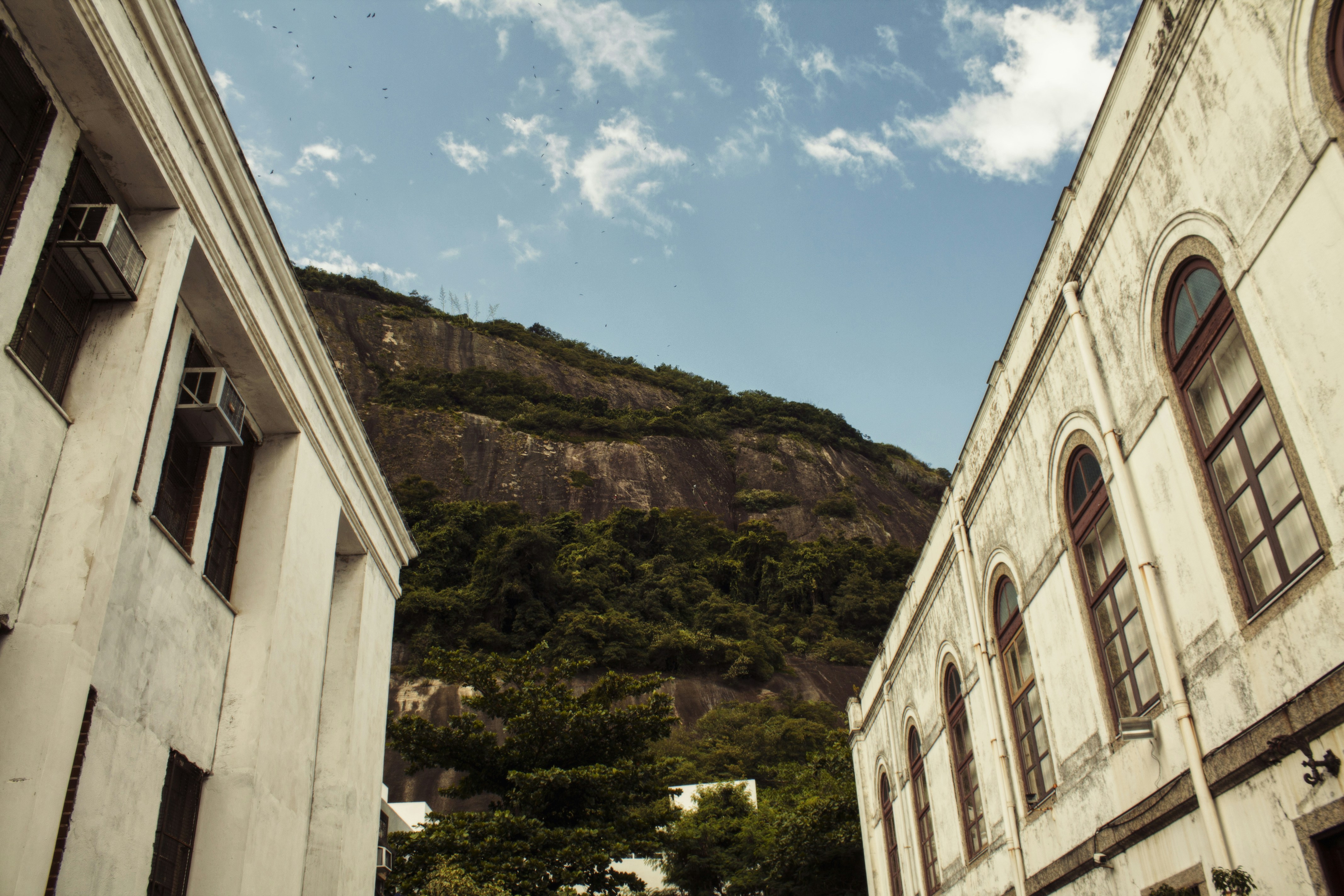 Free Unsplash photo from João Pereira