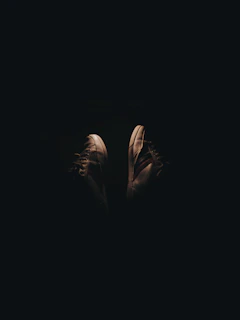 An artistic shot of Chillshoe sneakers with soft natural lighting highlighting their design