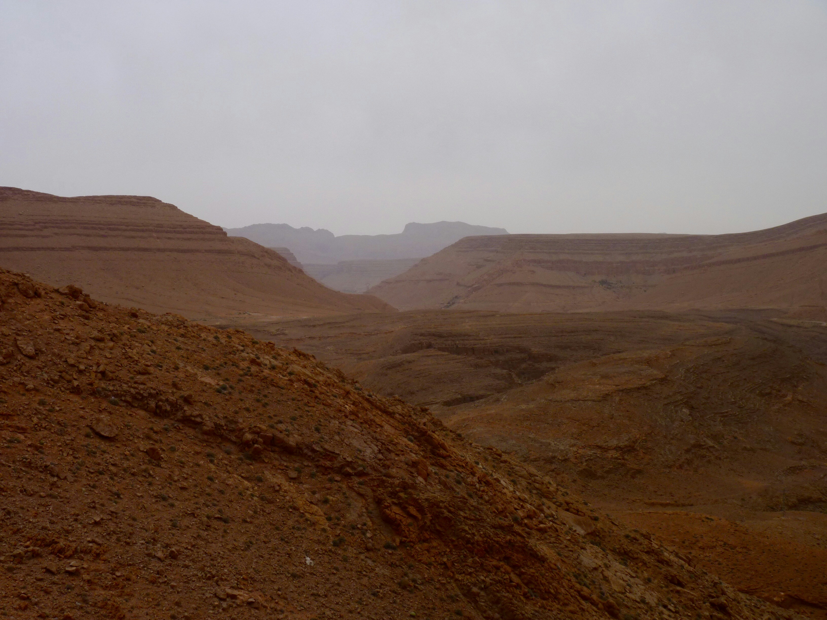 Free Unsplash photo from Solange Moreno