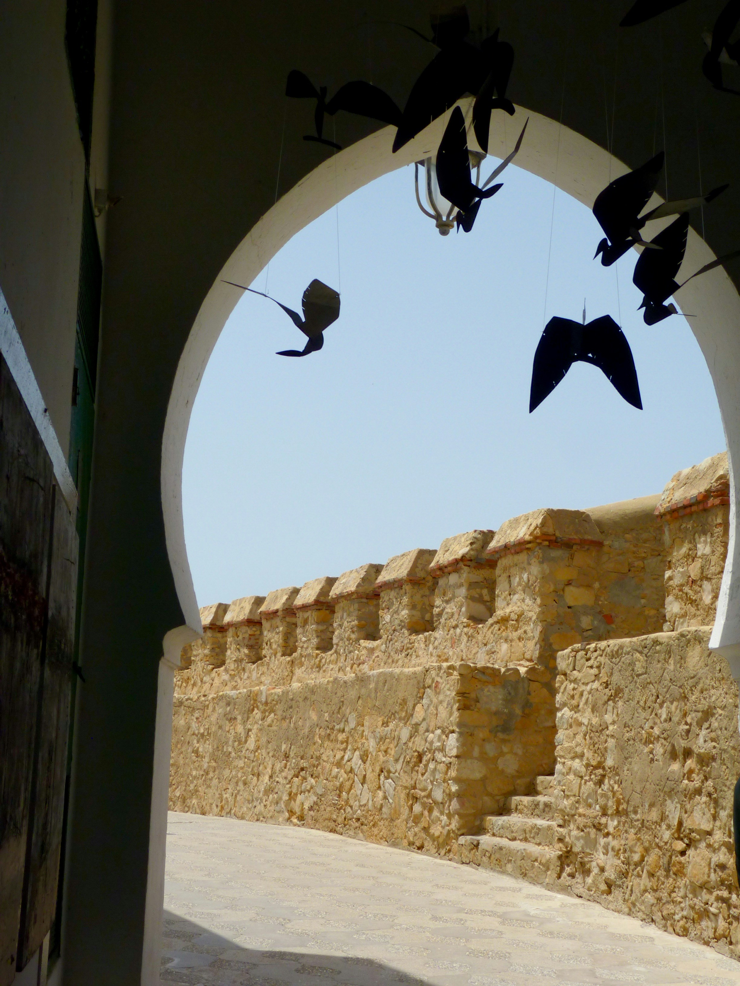 Free Unsplash photo from Solange Moreno