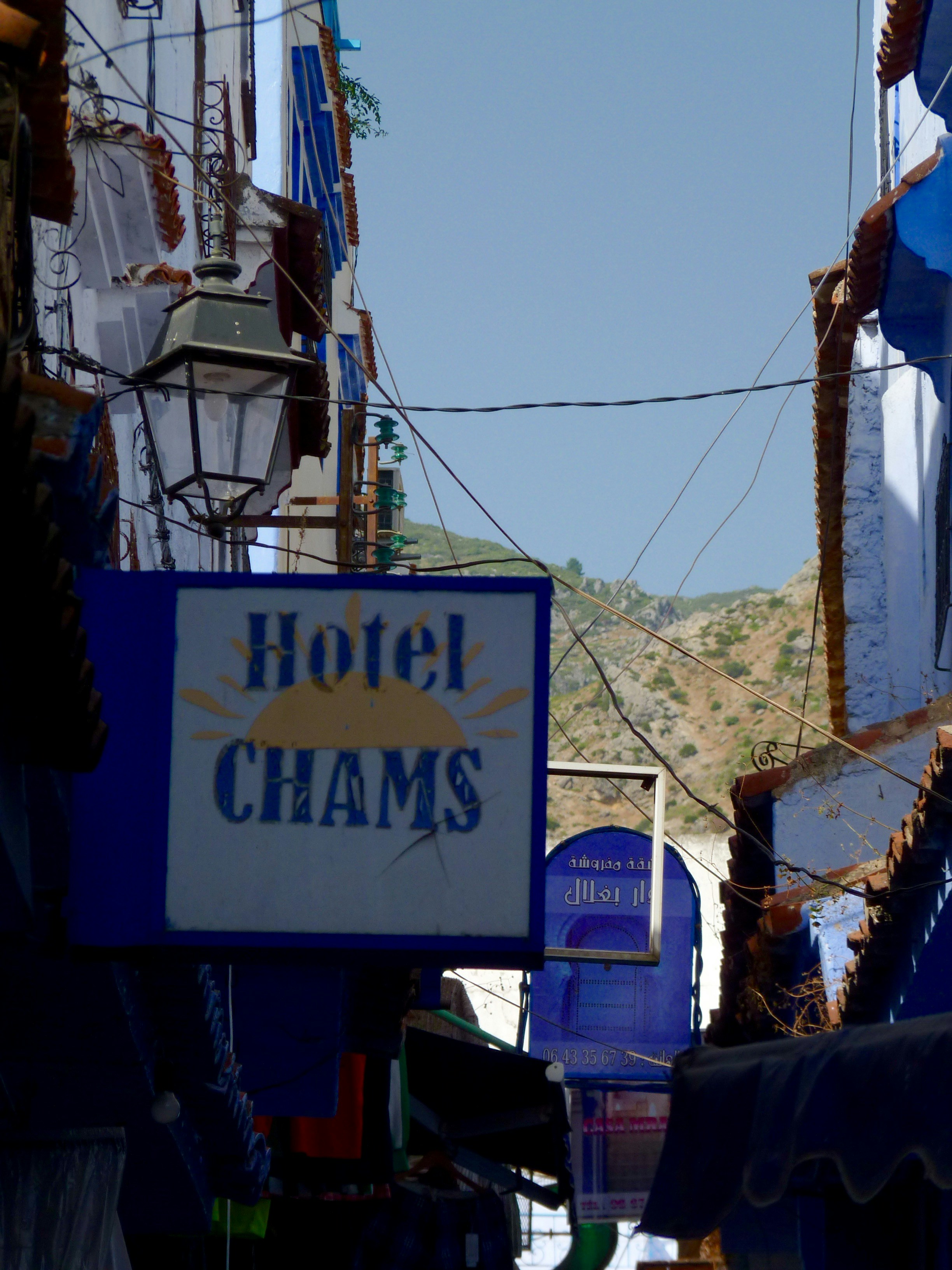 Free Unsplash photo from Solange Moreno