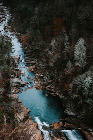 aerial photography of body of water with trees around