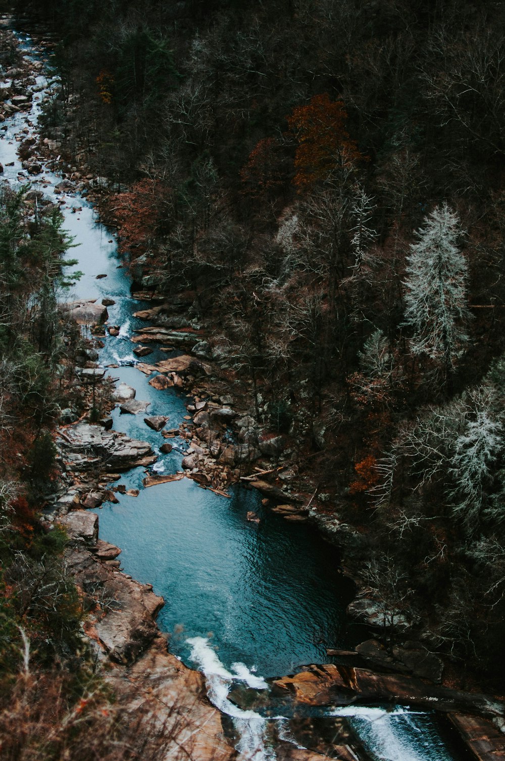 Photographie aérienne d’un plan d’eau entouré d’arbres