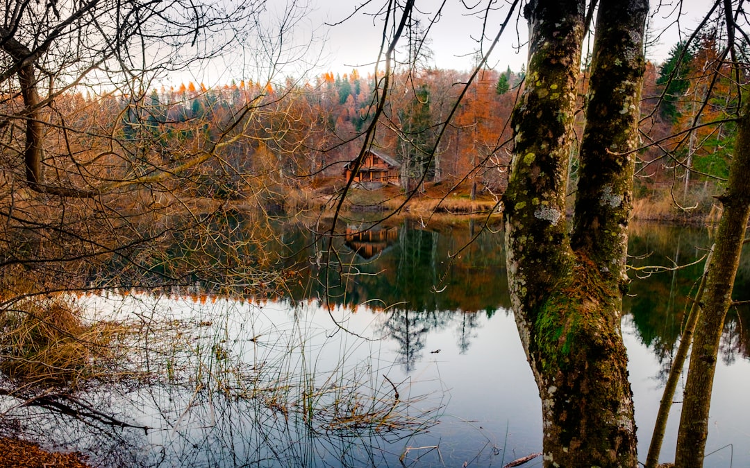 Nature reserve photo spot Lago di Cei Garda