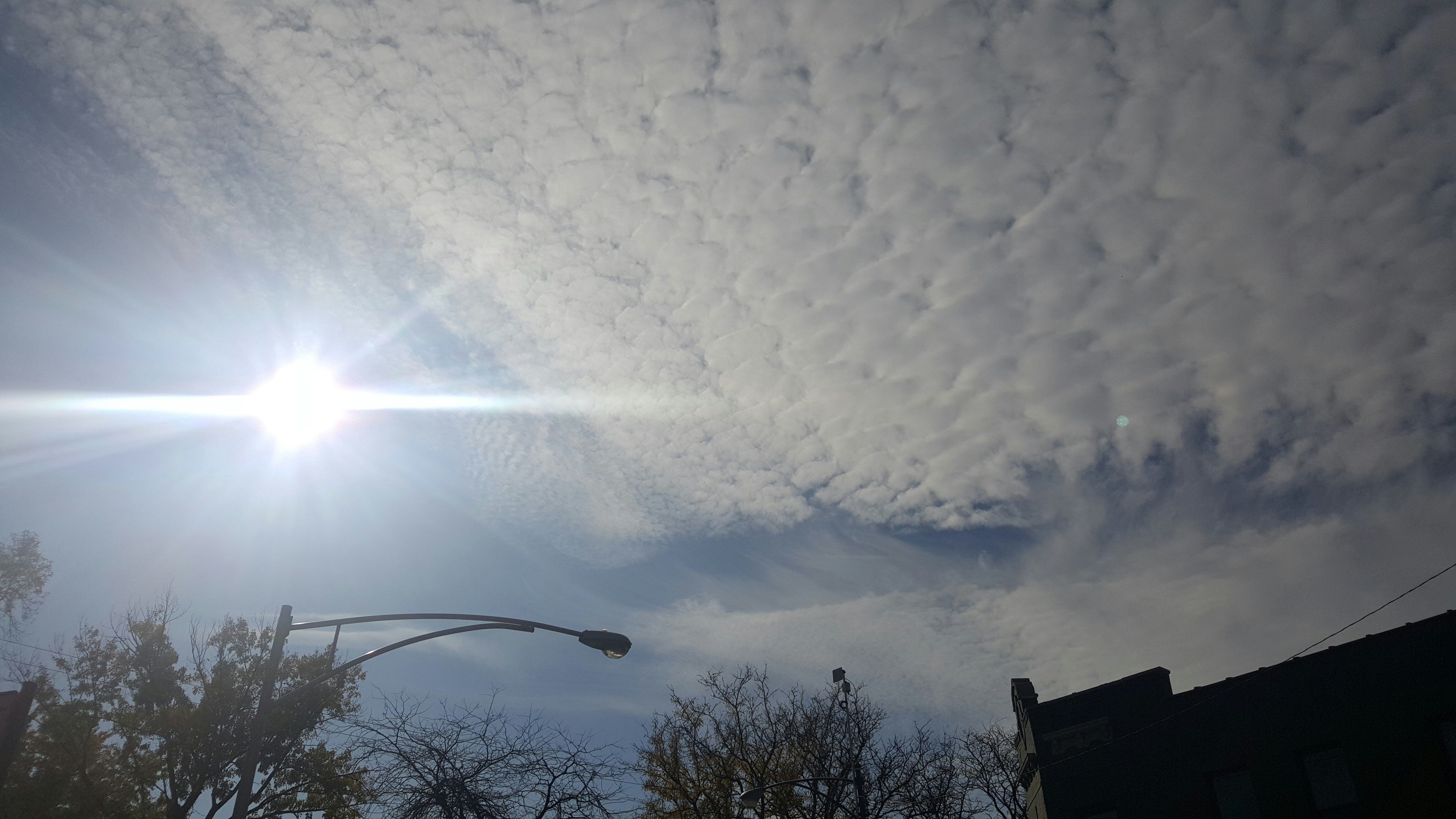 Атмосферное явление снегопад. Снег. Буран стихийное бедствие. Атмосферное явление снегопад. Пурга природное явление.