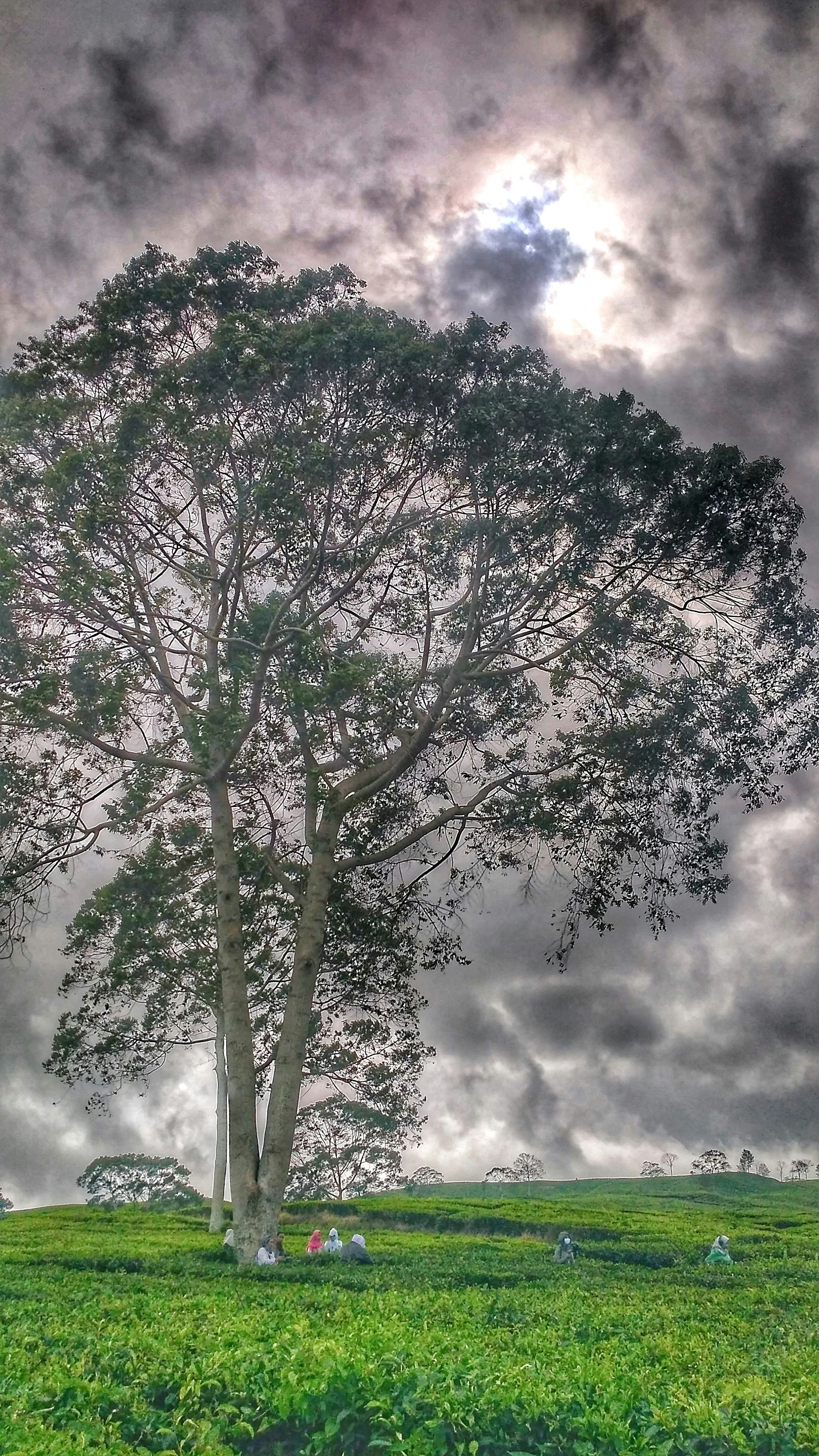 Free Unsplash photo from Kiki 3 Rizki