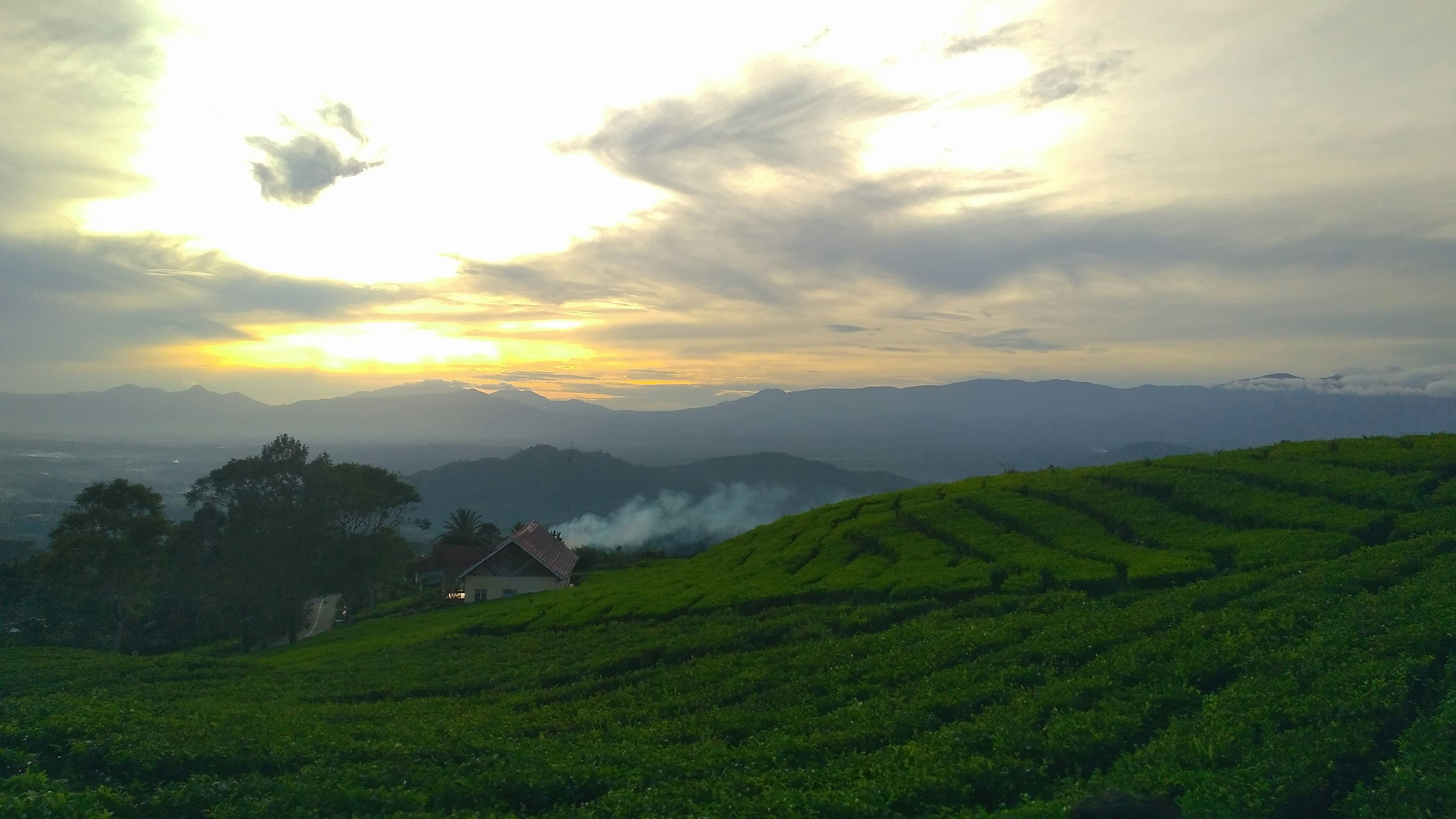 Free Unsplash photo from Kiki 3 Rizki