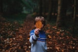 A child painting colorful leaves collected from a nature walk.