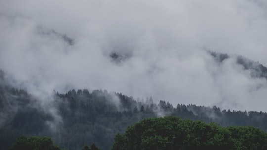 clouds covering trees in Innsbruck Austria