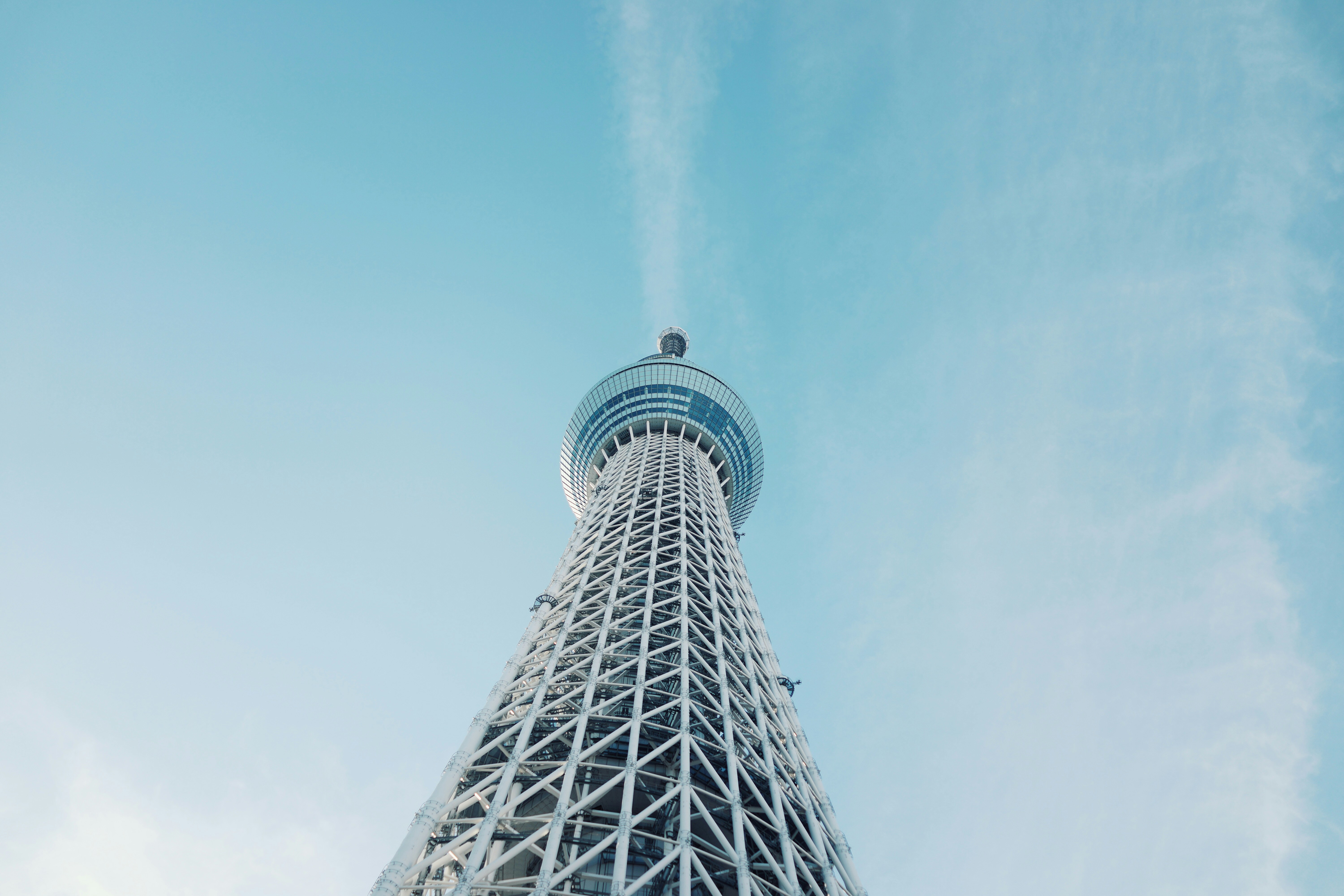 Free Unsplash photo from Bao Han