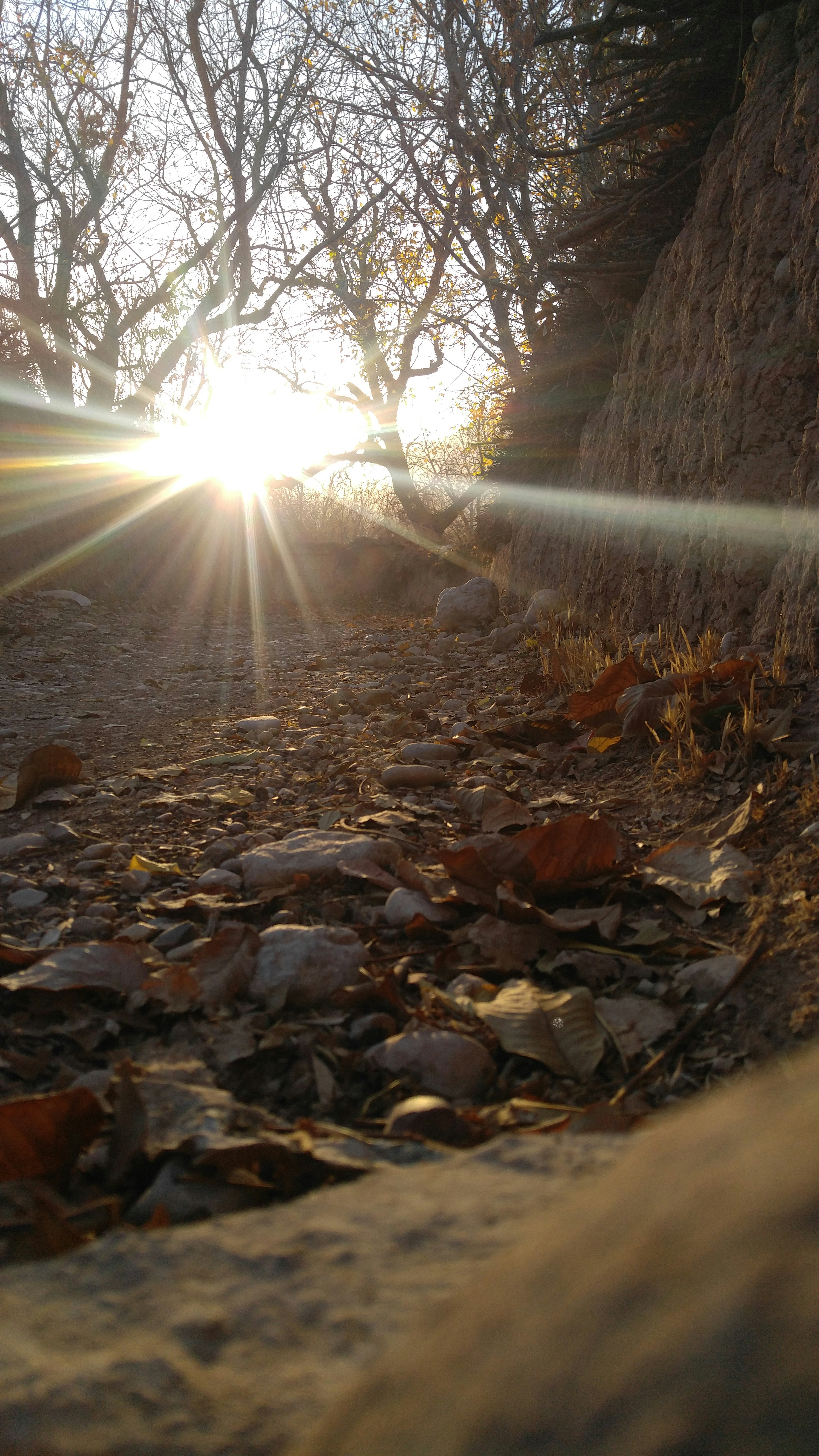 Free Unsplash photo from M. AhmadiP