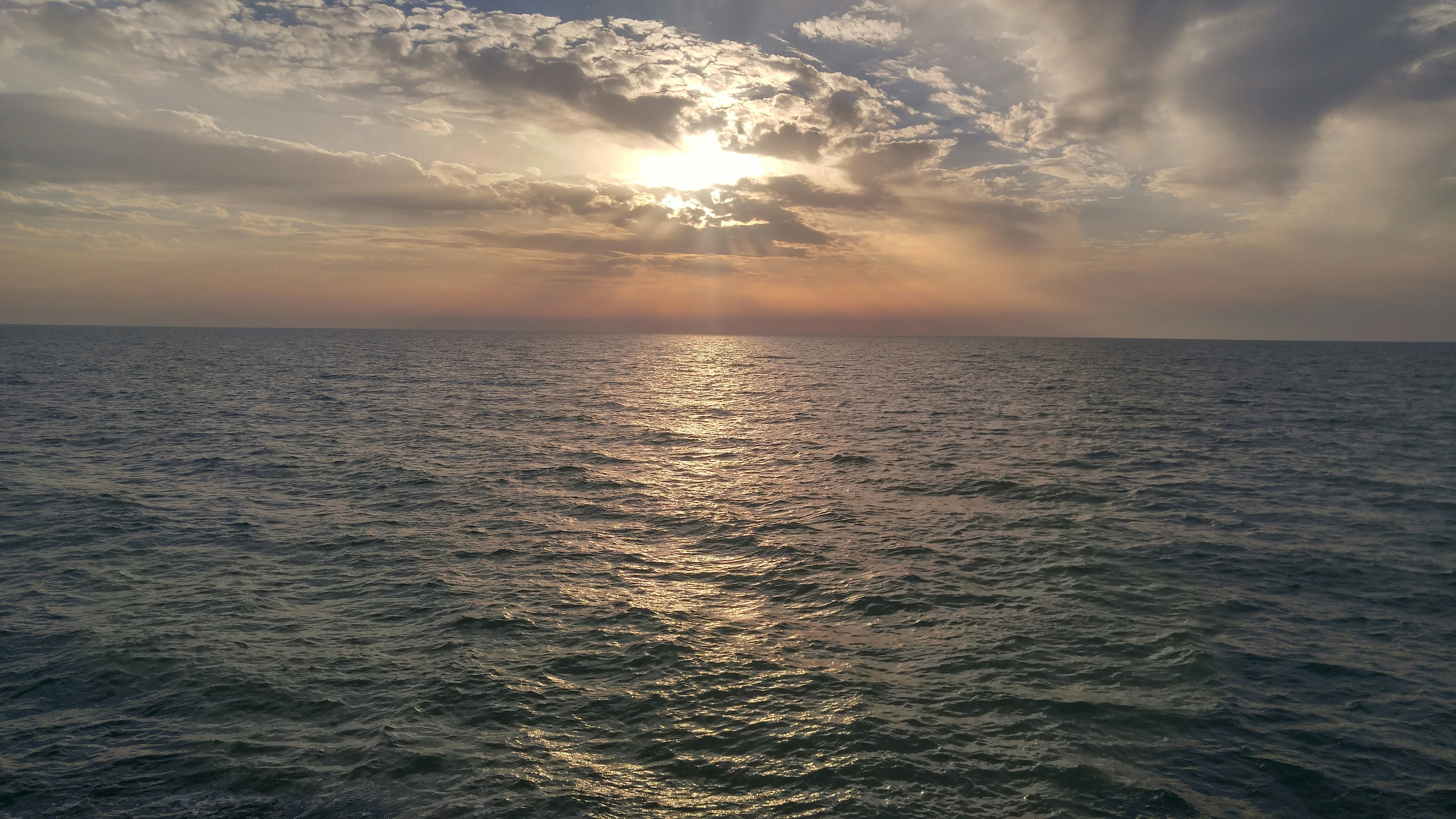 Free Unsplash photo from M. AhmadiP