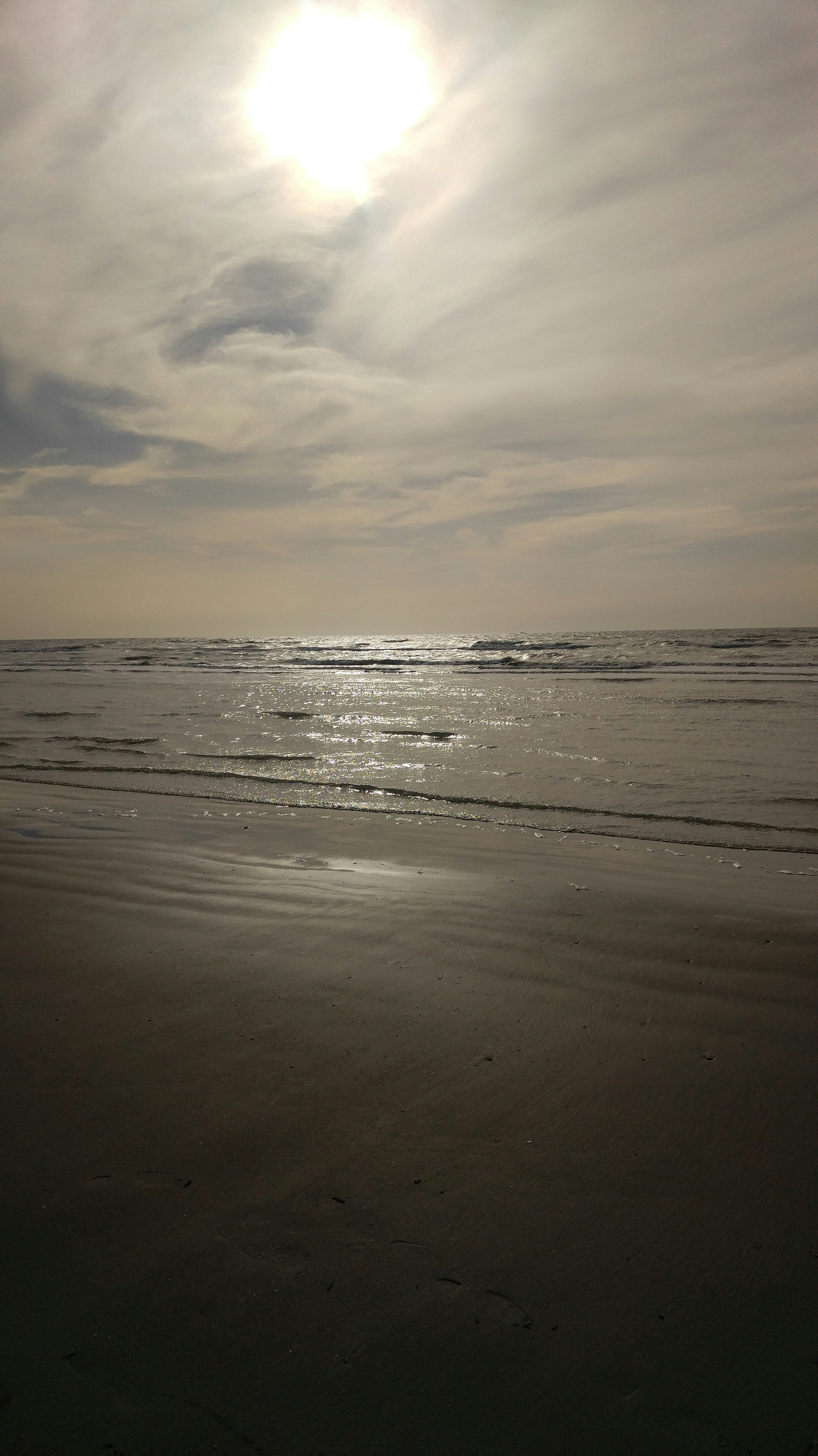 Free Unsplash photo from M. AhmadiP