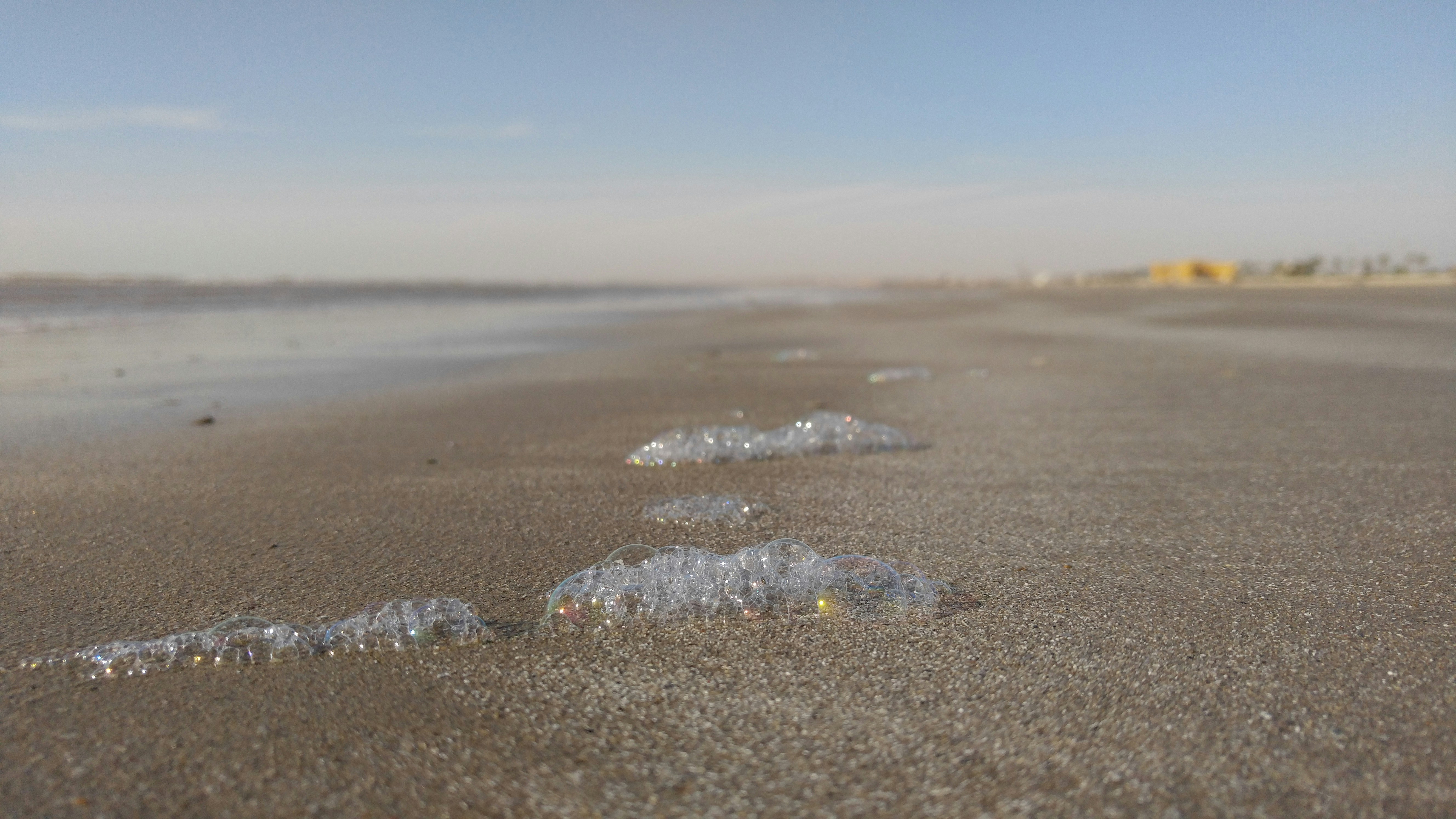 Free Unsplash photo from M. AhmadiP