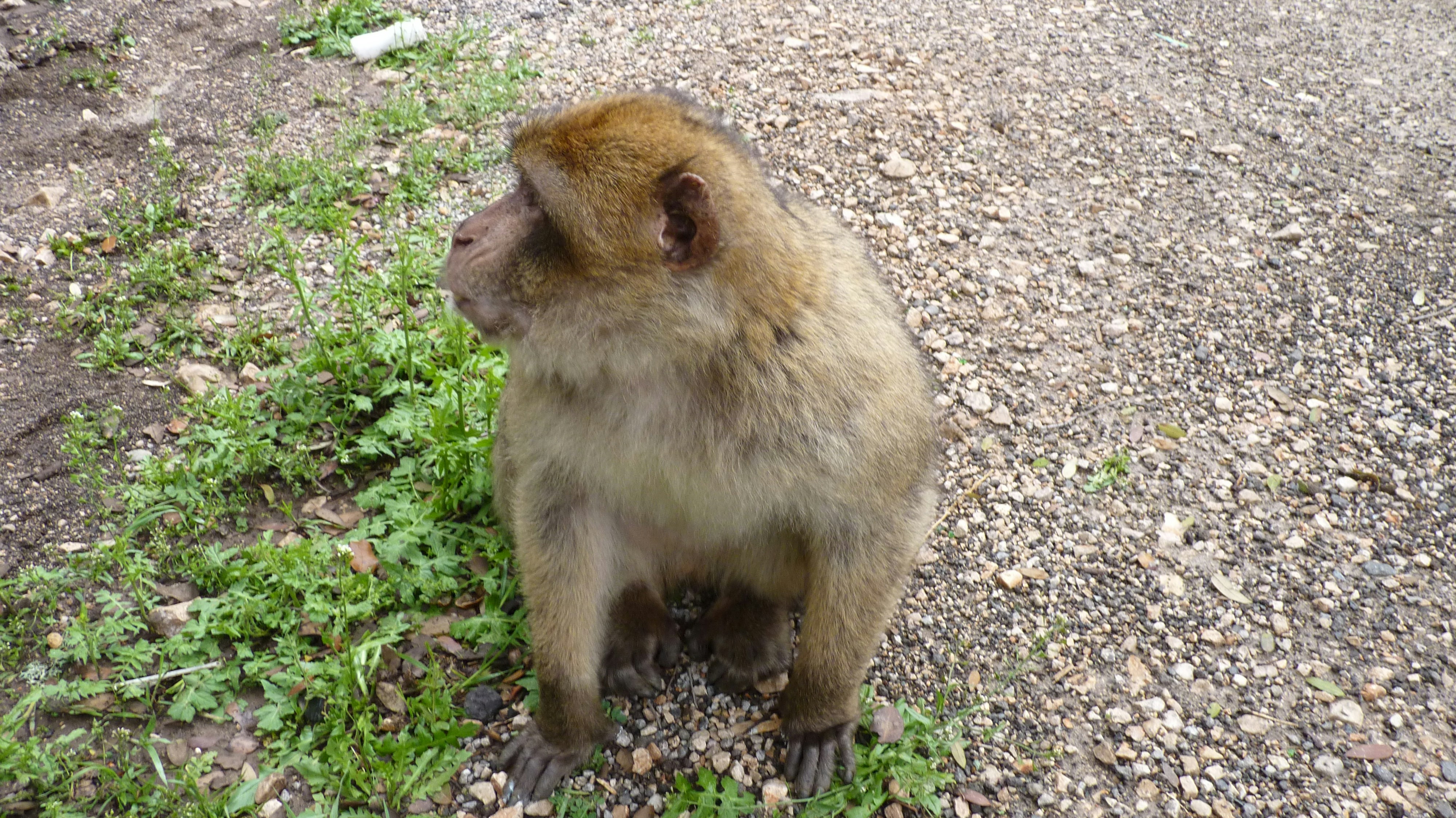 Free Unsplash photo from Solange Moreno