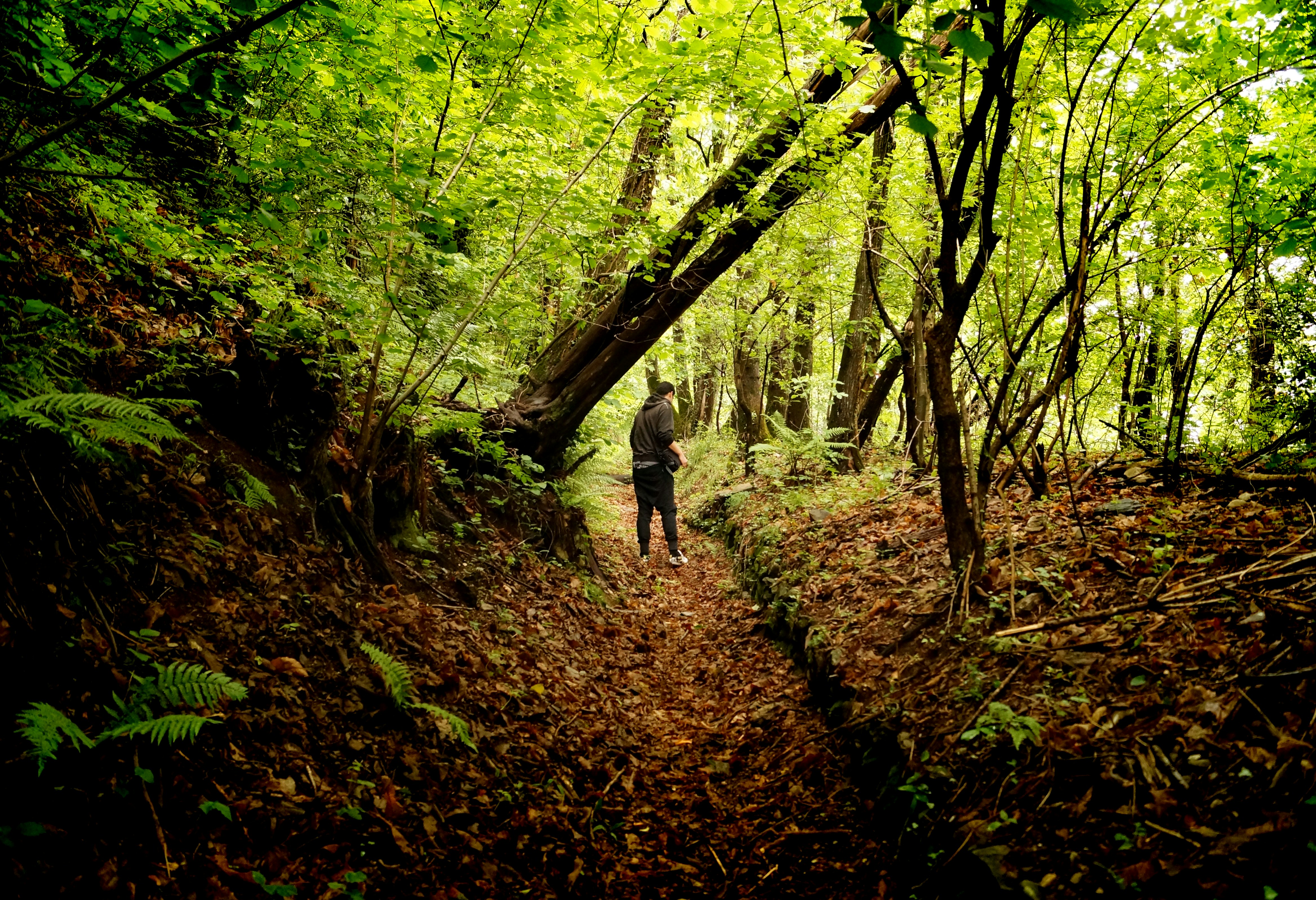 Free Unsplash photo from Ohara Cleopatra