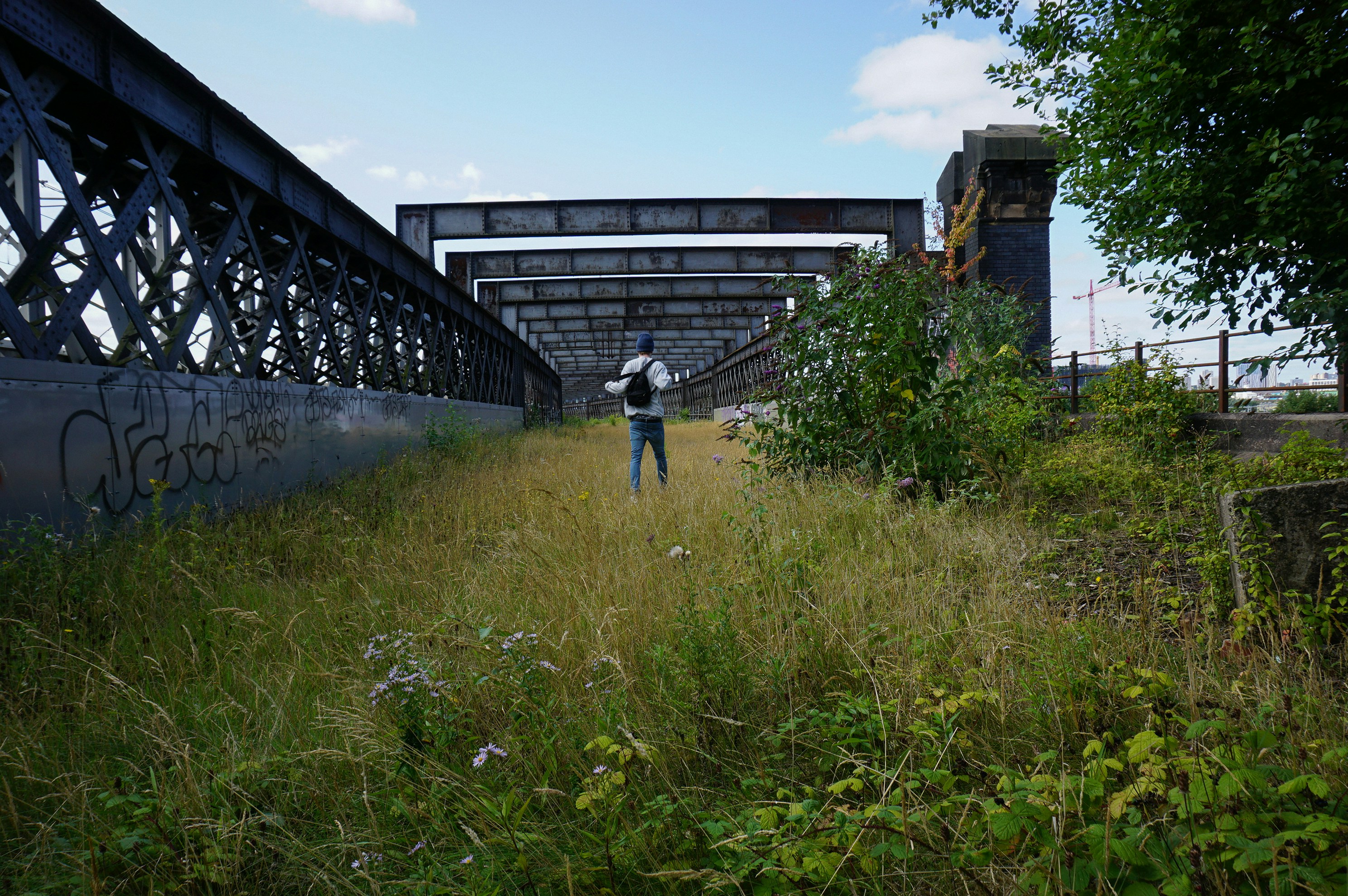 Free Unsplash photo from Cameron Worsley