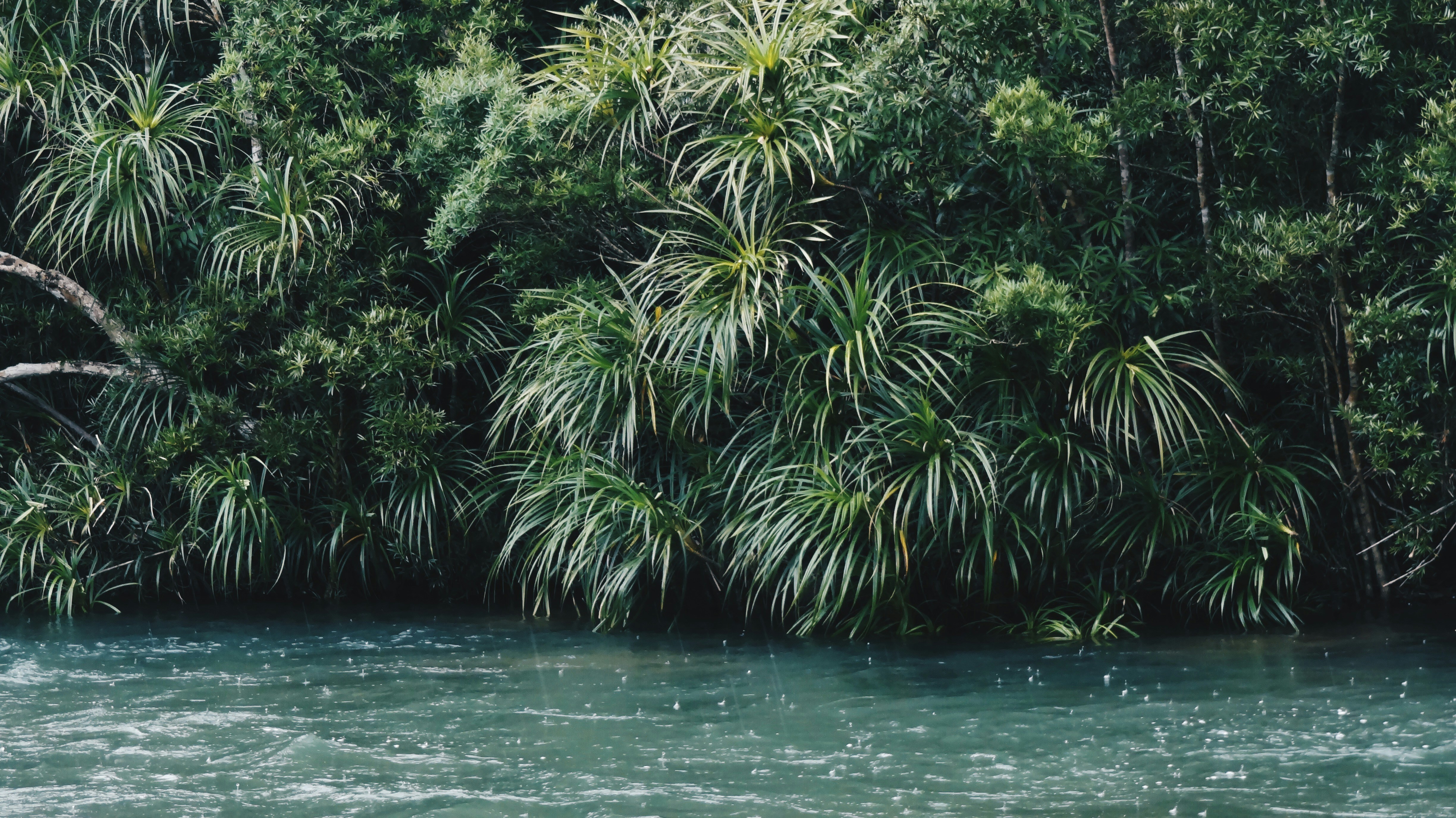 Free Unsplash photo from Davin Pom