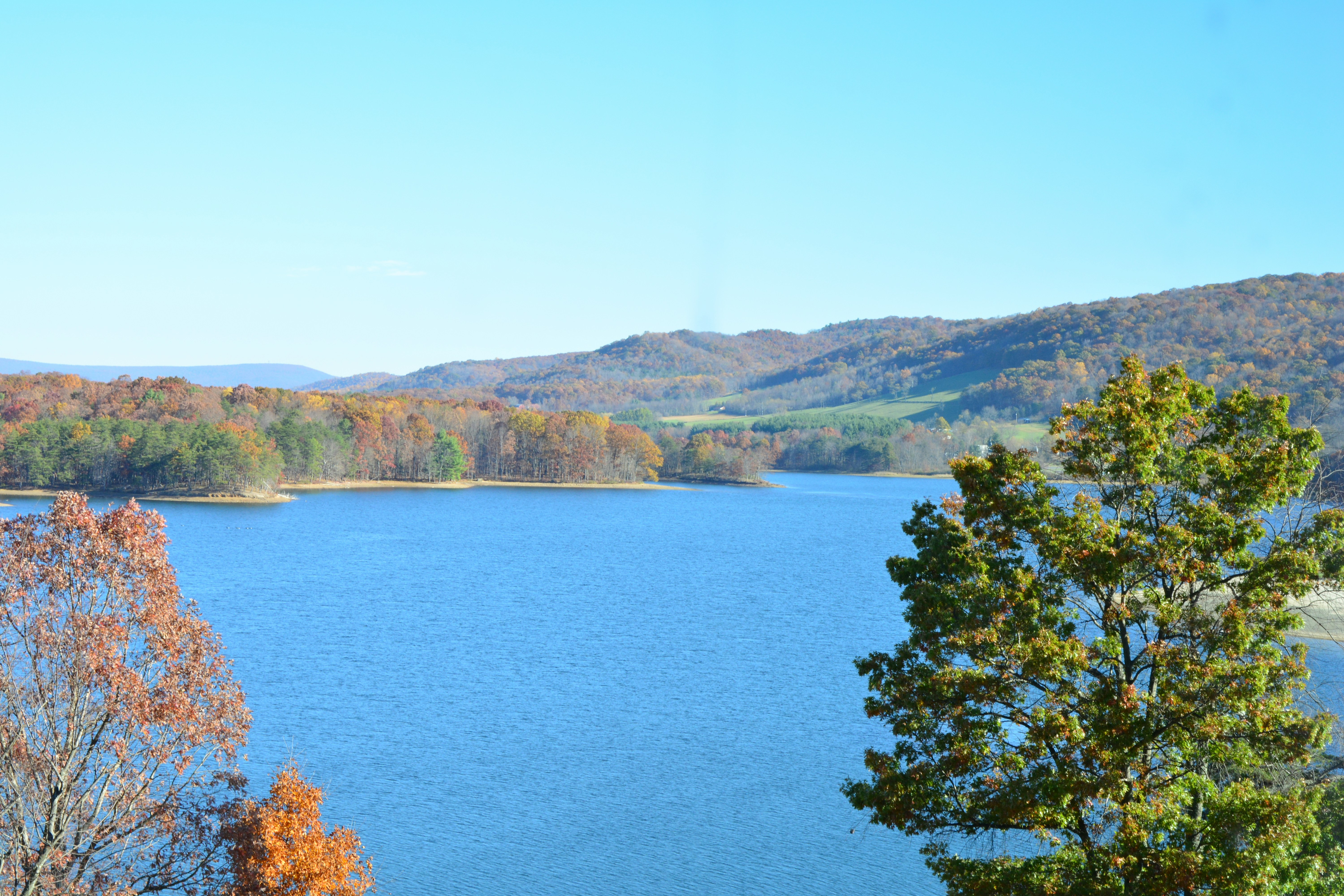 Free Unsplash photo from john bell