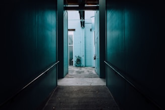 photo of green painted wall