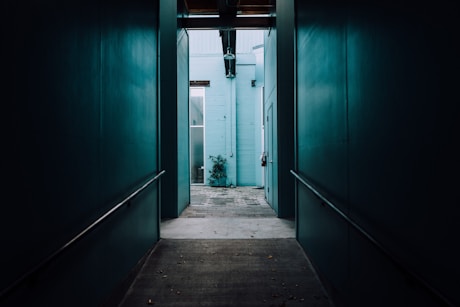 photo of green painted wall