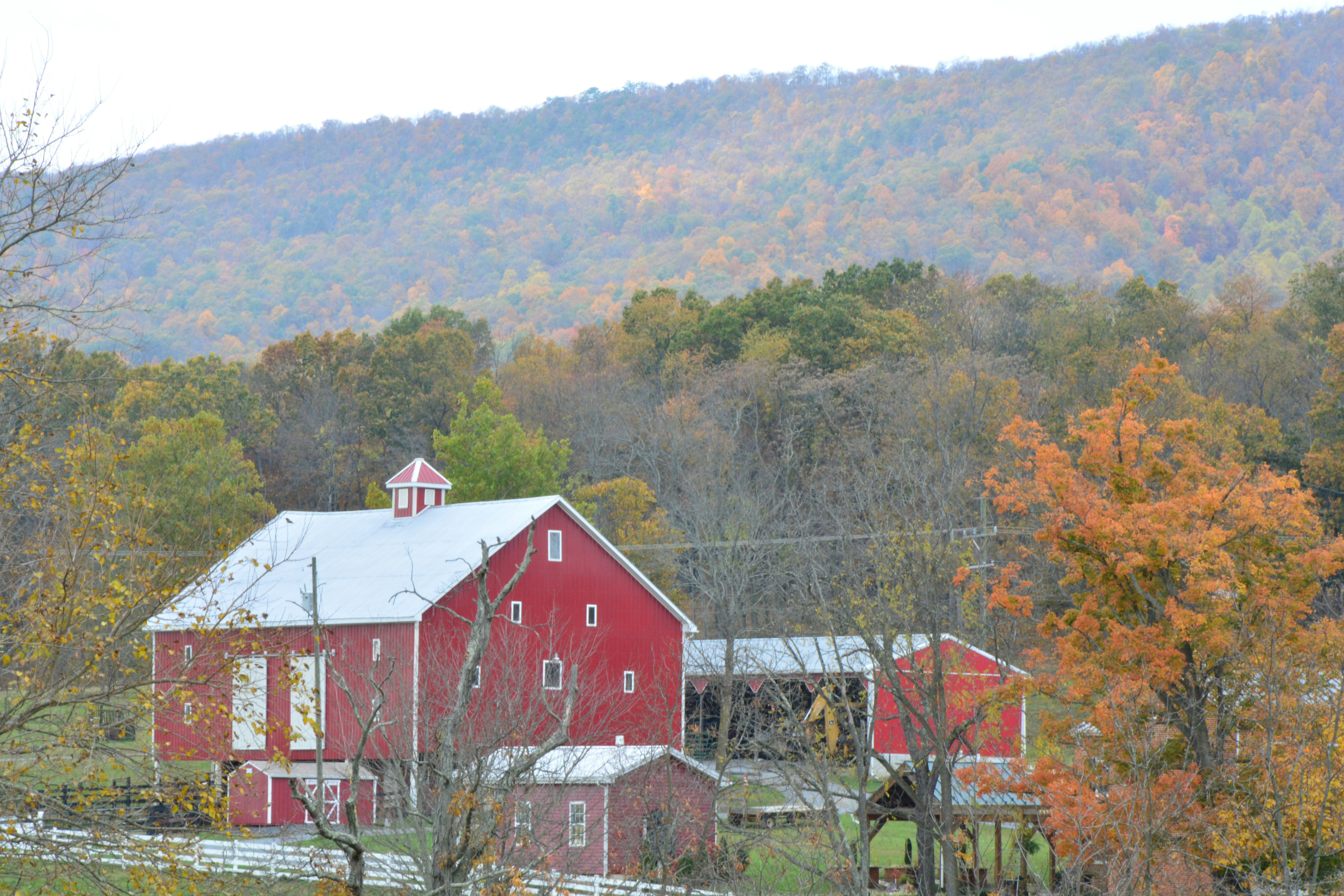 Free Unsplash photo from john bell