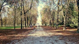 A sun-dappled path winding through the temples near Shanxi University, leaves rustling softly beneath my feet.
