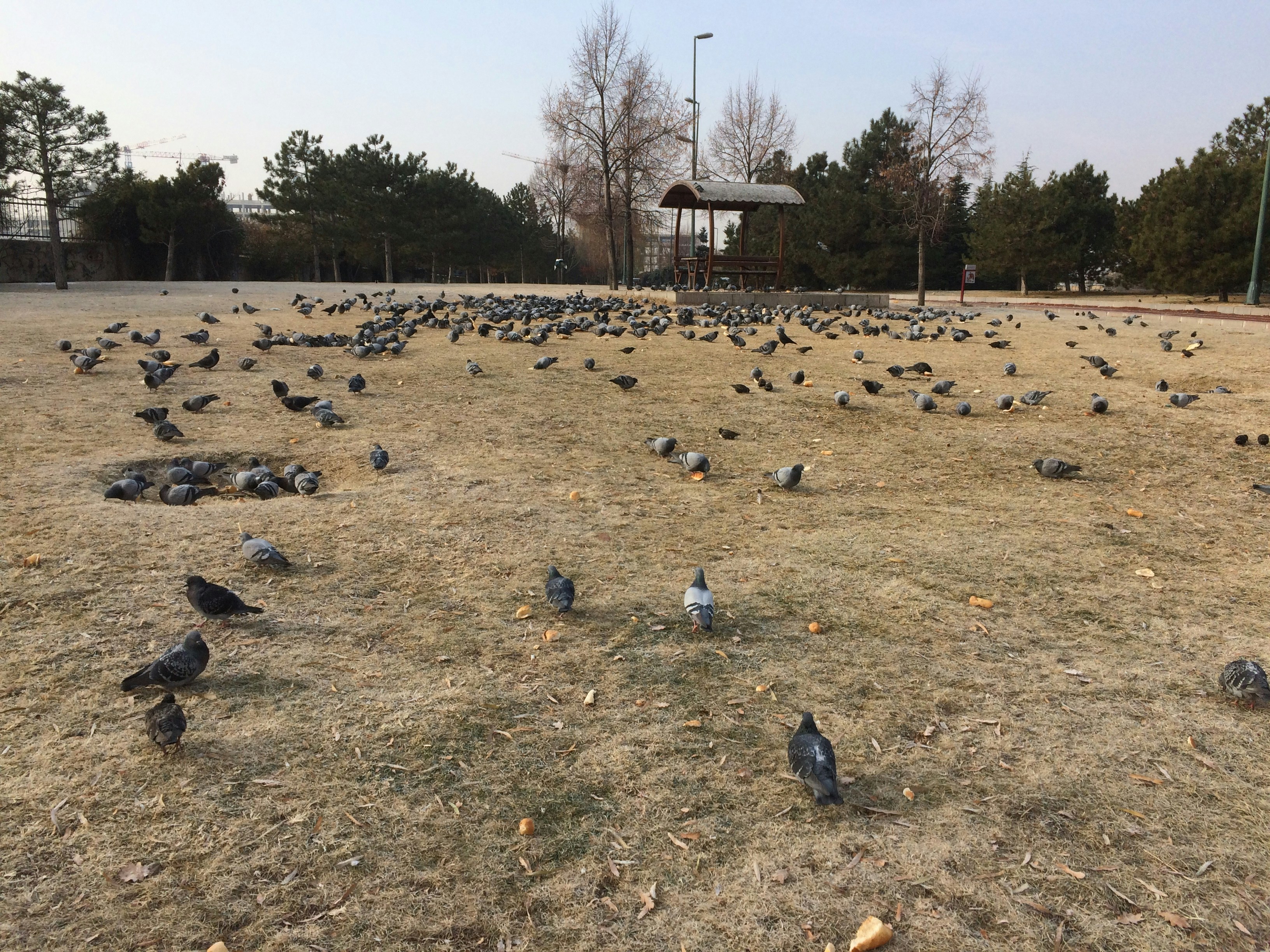 Free Unsplash photo from Yusuf Ortaç